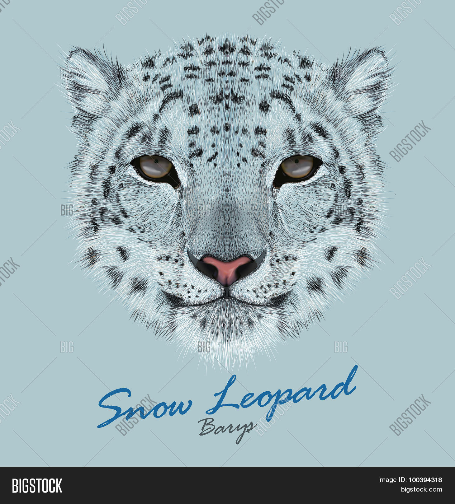 Get Wallpaper Vector Portrait Of A Snow Leopard 100394318 Image Stock Photo For iPhone