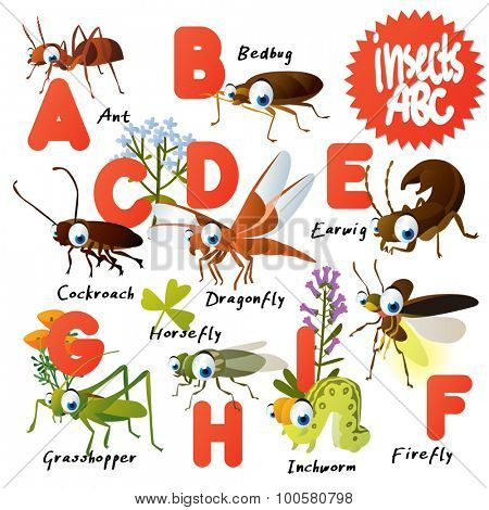 Cute Vector Animals Abc Bugs Ant Bedbug Earwig - 