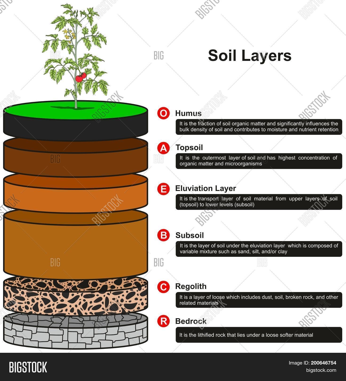 Soil Stack Diagram