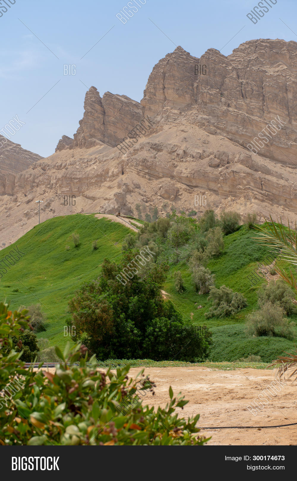ain,al,arab,attraction,background,beautiful,blue,desert,emirates,field,grass,green,hafeet,hafit,hill,jebal,jebel,lake,landscape,mountain,mubazzarah,natural,nature,oasis,outdoor,park,portrait,rock,scenery,scenic,sky,stone,summer,tourism,travel,tree,uae,united,valley,view,water