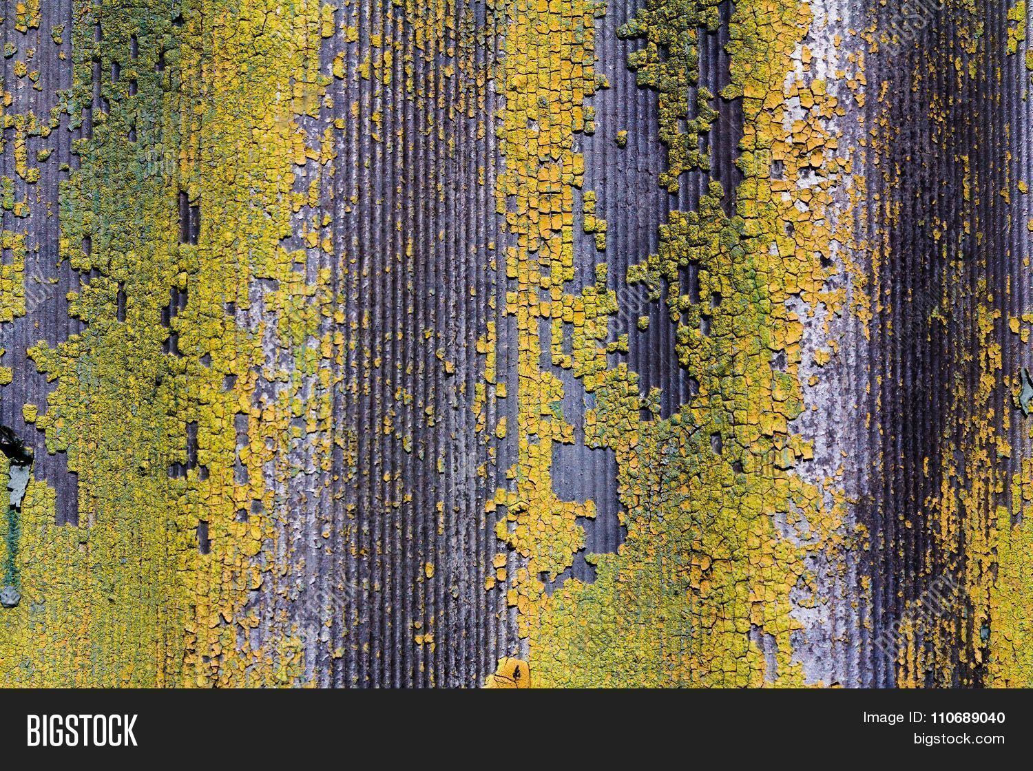 abstract,algae,brick,brown,close,closeup,color,copy-space,damage,desk,detail,dirty,environment,fern,floor,flora,forest,fresh,fungus,gray,ground,growth,grunge,hard,line,mason,moss,nature,ocean,outdoor,pattern,pitted,rain,repeat,repetition,rock,rough,scratch,seamless,sprout,stone,texture,tileable,top,vegetation,wallpaper,worn
