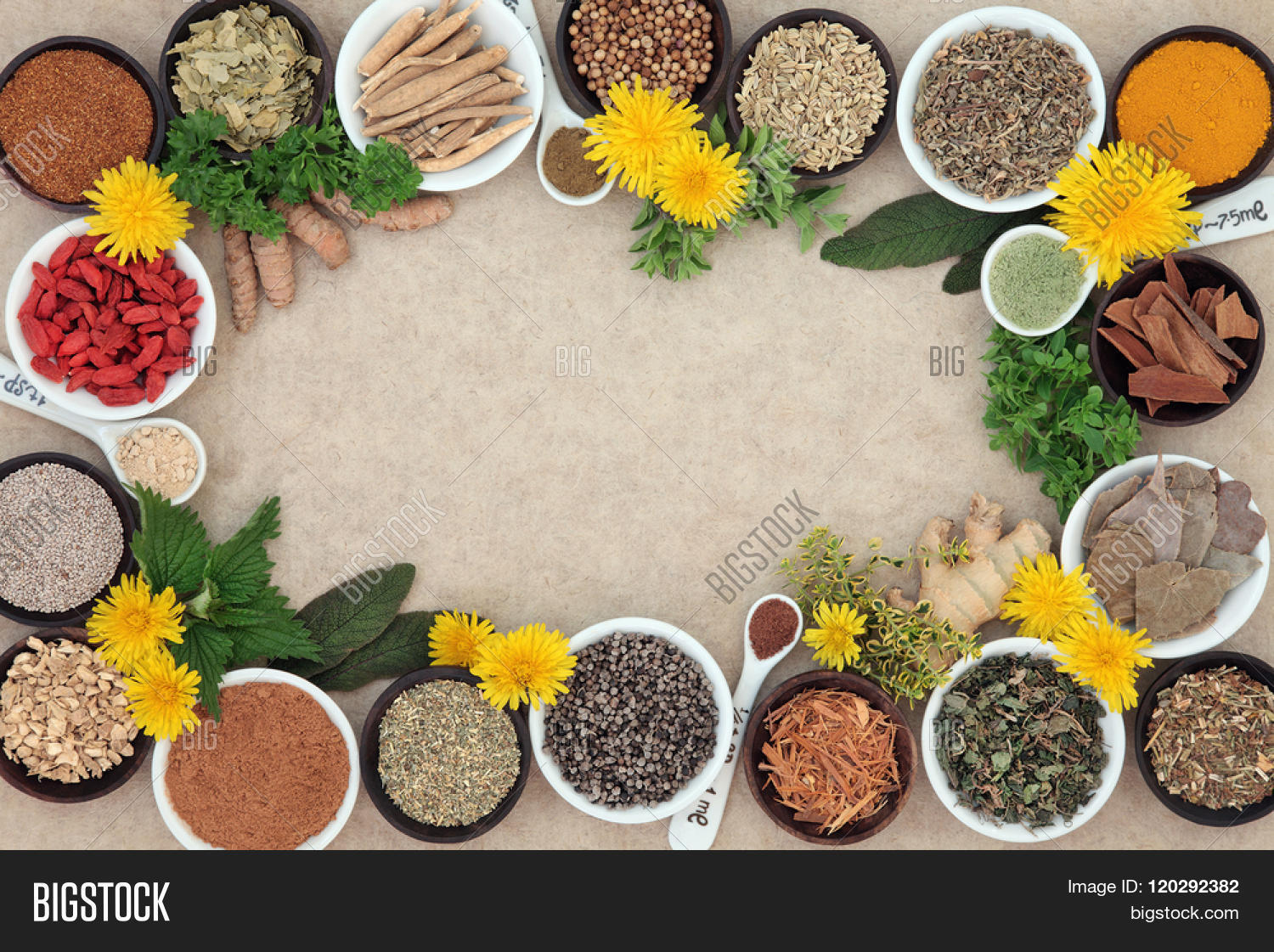 agnus,alternative,aphrodisiac,apothecary,ayurveda,background,bark,border,care,castus,catuaba,chinese,damiana,drug,epimedium,food,ginger,ginkgo,ginseng,healing,health,healthcare,hemp,herb,herbal,holistic,indian,libido,maca,medical,medicinal,medicine,mens,mucuna,natural,palmetto,paper,pruriens,saw,sexual,spice,super,superfood,tea,terrestris,tribulus,turmeric,wellness