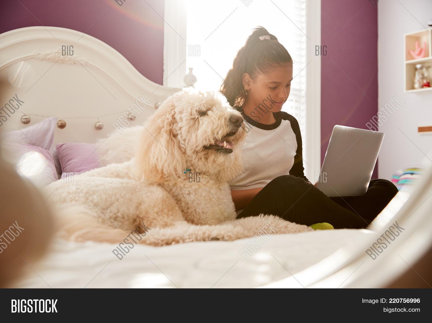 adolescence,backlit,bedroom,bonding,child,close up,communication,companionship,concentrating,copy space,dark hair,day,dog,domestic animal,domestic life,education,free time,friendship,full length,girl,hispanic ethnicity,home,homework,horizontal,indoors,internet,kid,laptop computer,learning,legs crossed,lens flare,long hair,looking at screen,one person,pet,pony tail,pre-teen,selective focus,sitting,sitting on bed,social networking,studying,sunlight,technology,teenager,togetherness,using computer,window,youth
