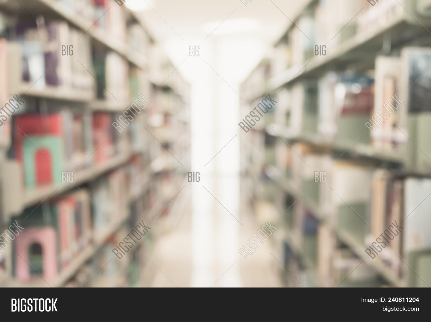 academia,academic,accessibility,background,blurry,book,bookshelf,bookstore,classroom,college,copyrights,dictionary,education,educational,encyclopedia,faculty,information,intelligence,international,knowledge,law,learn,librarian,library,literacy,literature,lovers,month,national,opportunity,philosophy,press,public,publisher,publishing,read,resources,rights,scholar,special,stack,student,study,teacher,textbook,texts,university,wisdom,workers,world