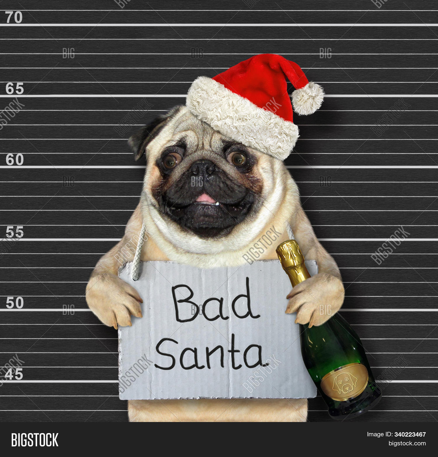 alcohol,animal,arrest,background,bad,banner,black,bottle,card,celebration,champagne,christmas,claus,close-up,concept,creative,crime,criminal,dog,drink,drunk,felon,funny,hat,holiday,humor,jail,lineup,mops,new,pet,photo,placard,police,positive,poster,prison,prisoner,red,santa,sign,station,text,white,wine,winter,xmas,year