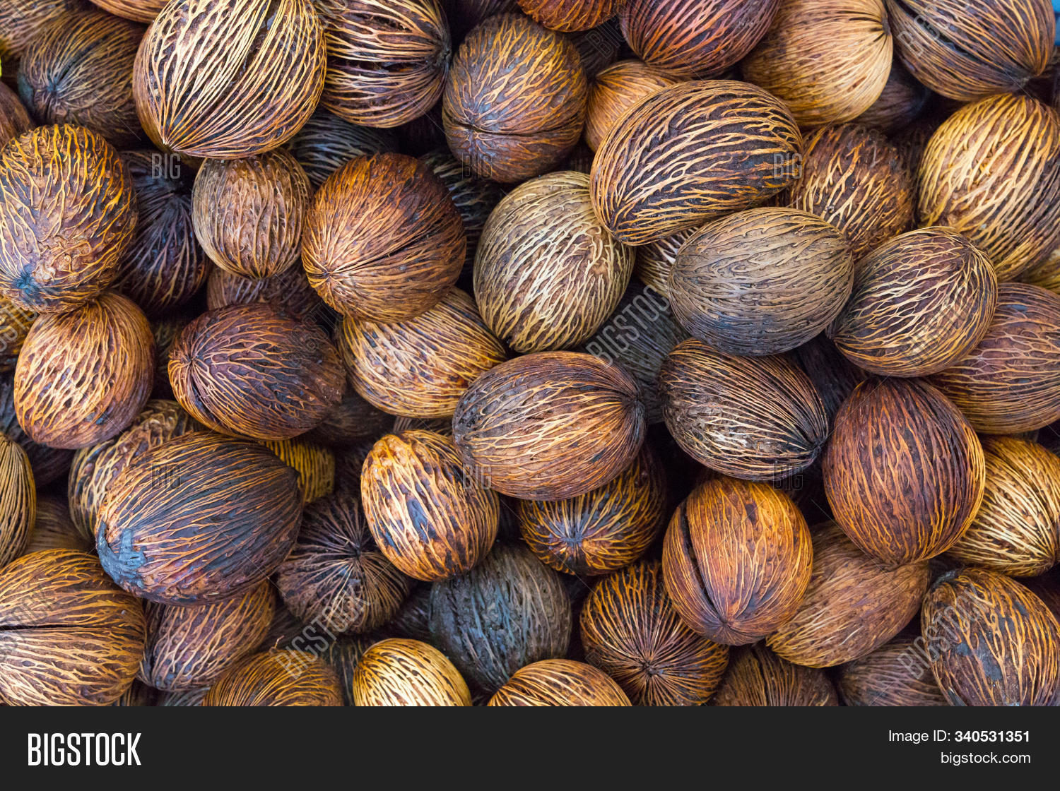apocynaceae,asia,background,beautiful,beauty,botany,brown,cerbera,closeup,decor,decorate,decoration,dry,fruit,natural,nature,pattern,plant,pong,raw,root,seed,skulls,spring,suicide,texture,tree,tropical,wood