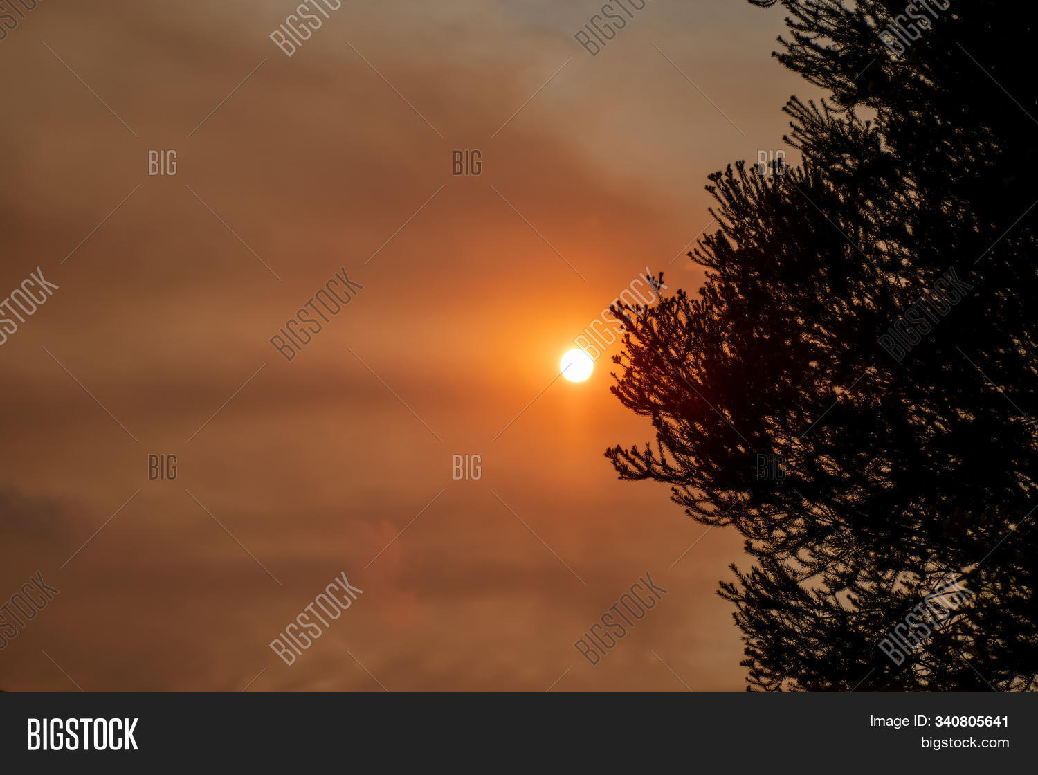 Australian Bushfire: Smoke From Bushfires Covers The Sky And Glowing ...