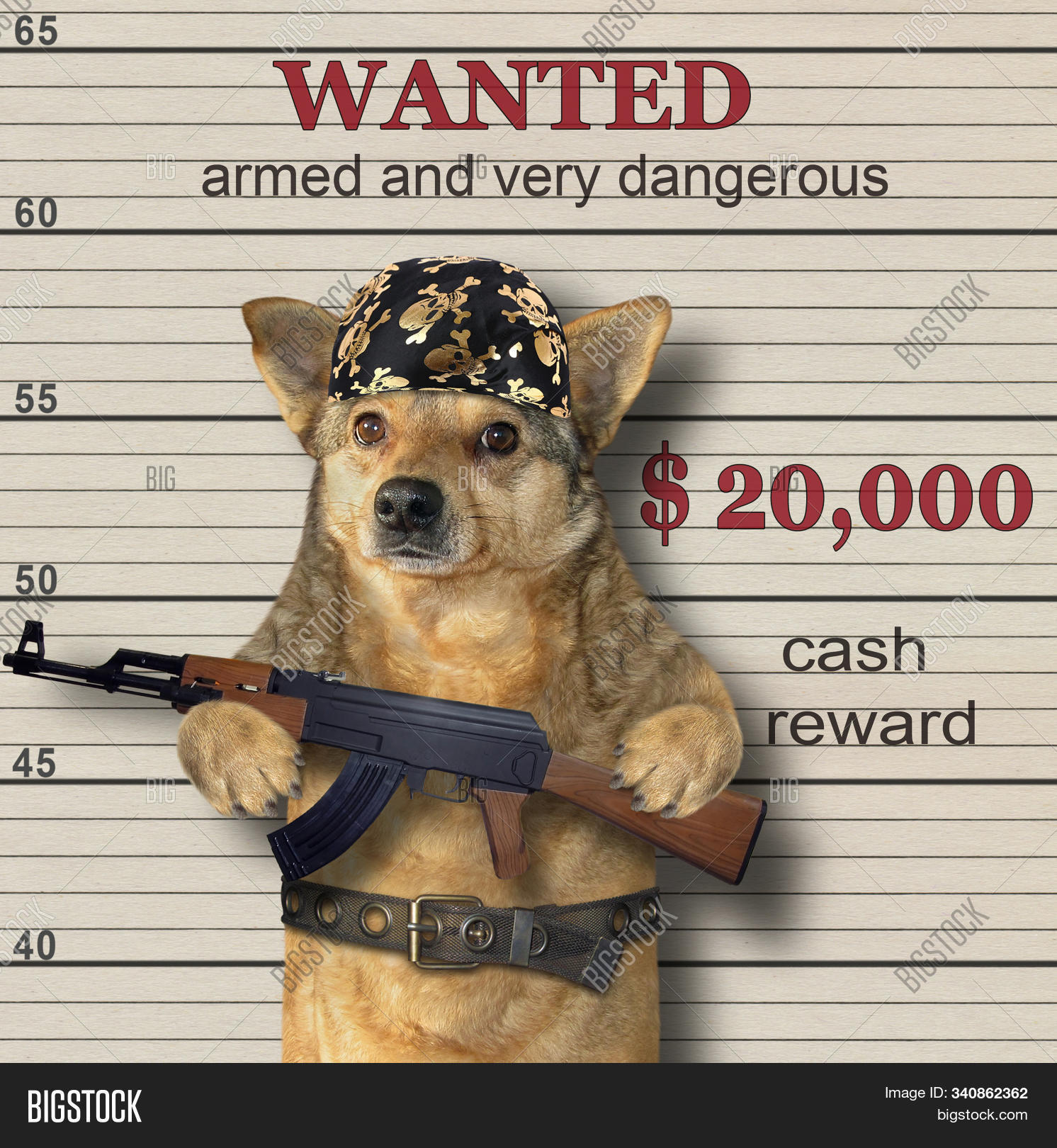 47,aim,ak,ak-47,animal,arrest,attack,automatic,background,bad,bandana,beige,canine,close,concept,creative,crime,criminal,danger,defend,dog,enemy,felon,fortune,funny,gangster,gun,hat,holding,humor,kalashnikov,killer,lineup,machine,money,pet,positive,prison,reward,rifle,russian,take,target,text,toy,up,wanted,war,weapon