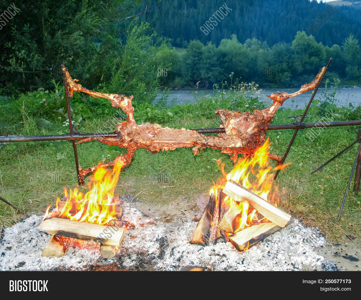 appliance,barbecue,barbecued,campfire,carcase,carcass,charcoal,coast,cooking,course,cropped,cuisine,cut,dish,fire,firewood,flavor,food,grill,grilled,lamb,main,meat,mutton,nature,open,out,outdoor,picnic,popular,river,roasting,rotating,rotisserie,sheep,skewered,smoke,spit,spit-roasting,summer