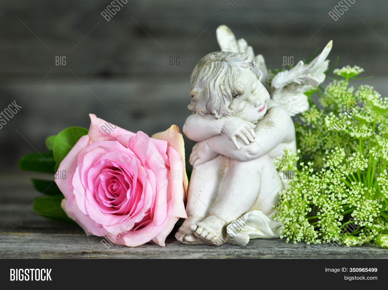 angel, 																					guardian, 																					rose, 																					flowers, 																					funeral, 																					sleeping, 																					sympathy, 																					condolence, 																					card, 																					cherub, 																					memorial, 																					child, 																					baby, 																					loss, 																					figurine, 																					grief, 																					vintage, 																					death, 																					sadness, 																					sorrow, 																					pink, 																					little, 																					young, 																					burial, 																					love, 																					remembrance, 																					religious, 																					wooden, 																					old, 																					background, 																					sculpture, 																					sitting