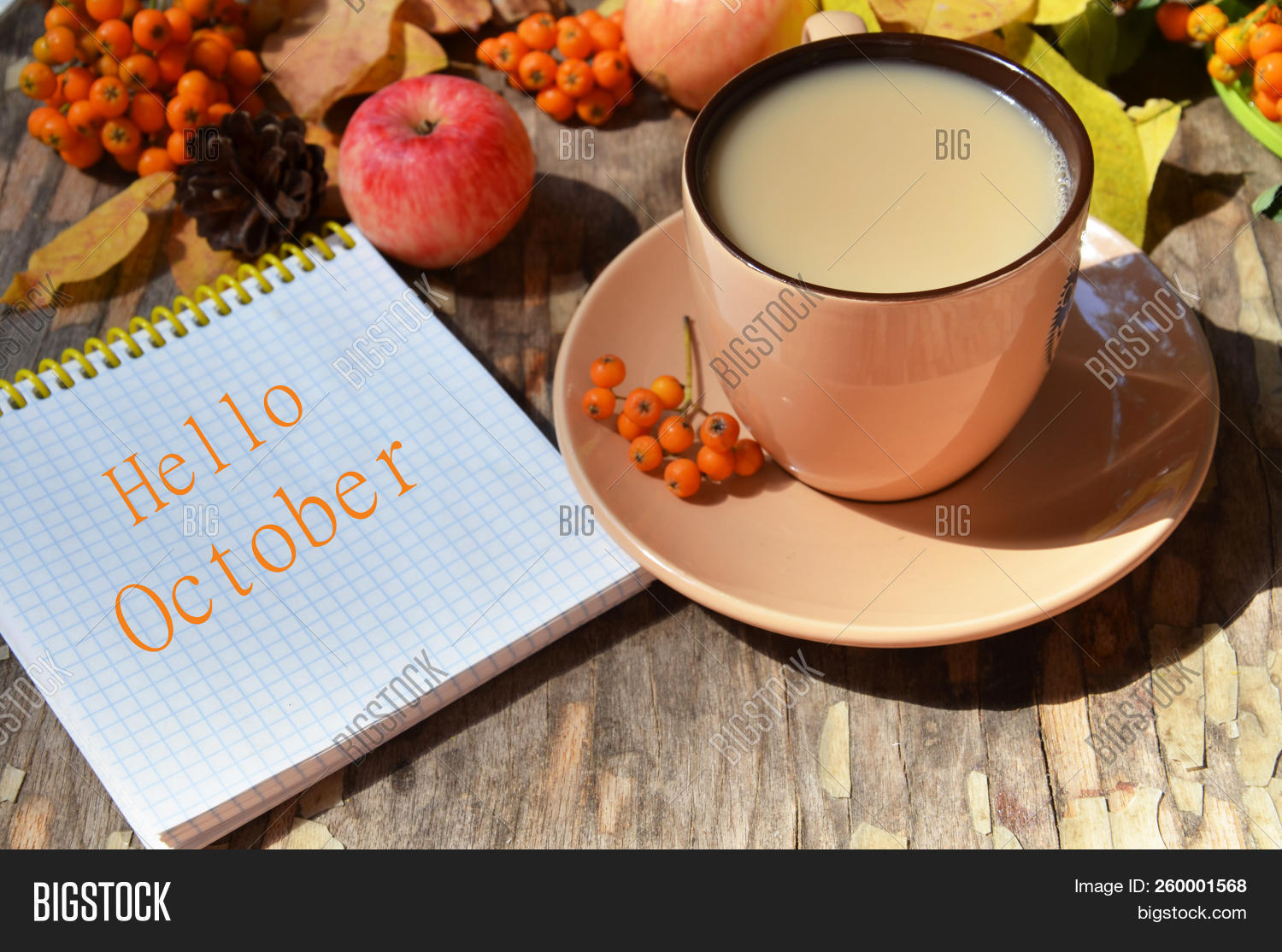 arabica,aromatherapy,autumn,background,beans,book,bouquet,brown,cafe,card,coffee,concept,cup,drink,espresso,everlasting,fall,flower,green,greet,hello,hobby,holiday,hot,leaf,maple,morning,mug,november,october,plate,postcard,purple,read,red,sackcloth,season,seasonal,seasoning,september,shiny,steam,table,tag,text,thanksgiving,time,wallpaper,word,yellow