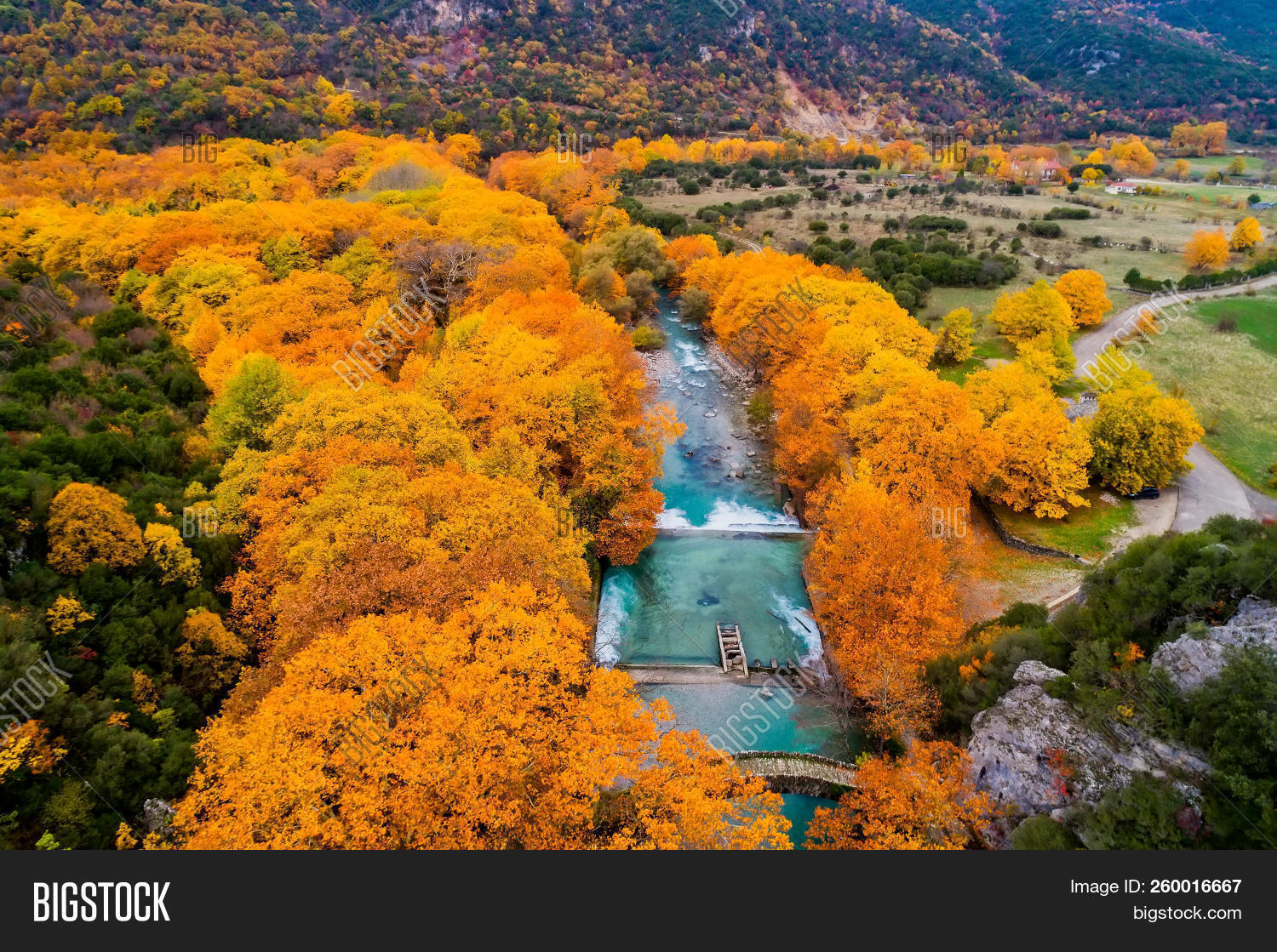 Autumnal,Papingo,Yellow,aerial,amphitheatrical,architecture,autumn,colorful,destination,epirus,europe,famous,forest,gorge,greece,greek,height,home,house,ioannina,landmark,landscape,mountain,mountainous,nature,old,outdoor,panoramic,picturesque,pindos,roof,rugged,rural,scenics,stone,tourism,town,traditional,travel,typical,view,village,zagori,zagoria,zagorochoria,zagorohoria