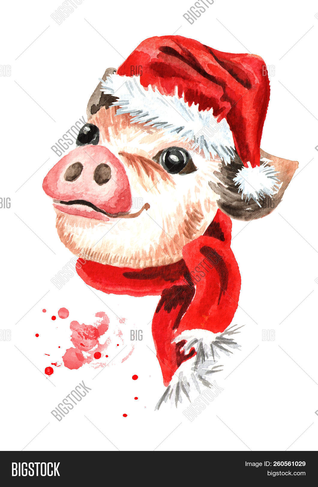 2019,Christmas,animal,baby,background,black,boar,cap,cartoon,child,claus,cute,domestic,drawing,eared,farm,friendly,fun,funny,happy,hat,illustration,isolated,little,micro,mini,miniature,new,pampered,pet,pig,piggy,piglet,pink,pork,santa,scarf,small,smile,sniff,snout,swine,symbol,teacup,warm,watercolor,white,winter,year,young