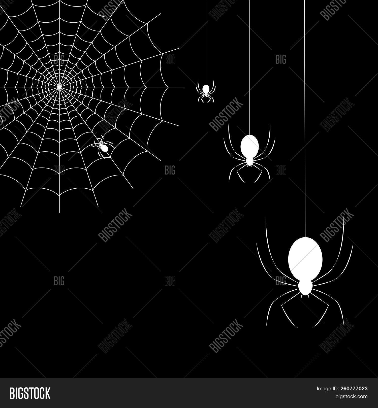 Halloween,animal,arachnid,arachnophobia,art,background,black,bug,cartoon,cobweb,creepy,danger,dark,decoration,design,element,fear,hanging,horror,illustration,insect,isolated,leg,nature,net,network,phobia,poisonous,scary,spider,spiderweb,spooky,sticky,symbol,trap,vector,web,white