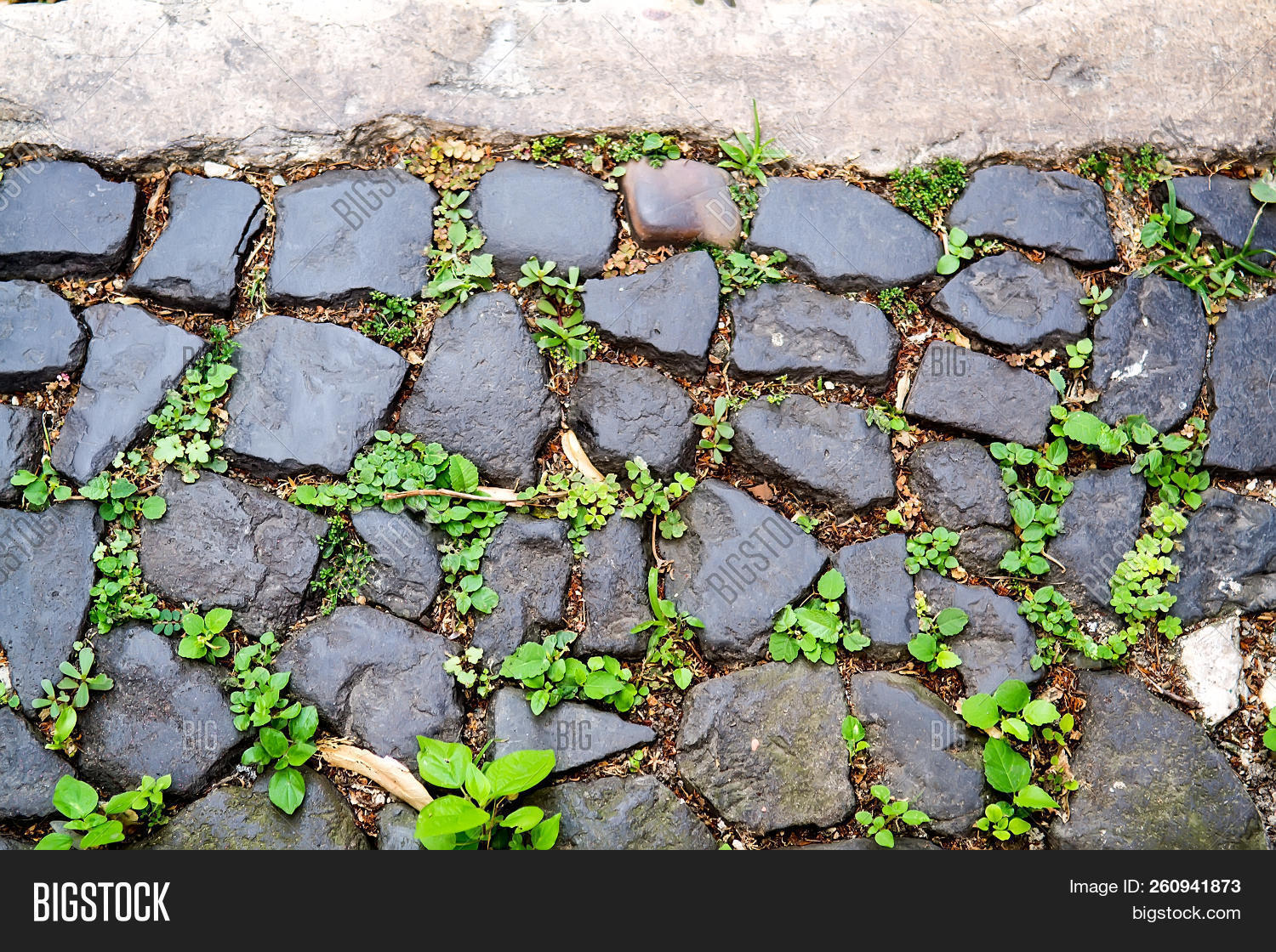 abstract,architecture,asphalt,background,black,block,break,brick,city,cobble,cobblestone,crack,design,environmental,floor,garden,granite,green,ground,grow,growth,landscape,life,material,natural,nature,old,outdoor,park,pattern,paved,pavement,paver,paving,plant,road,rock,rough,sidewalk,stone,street,structure,summer,surface,texture,town,urban,vintage,walkway,way