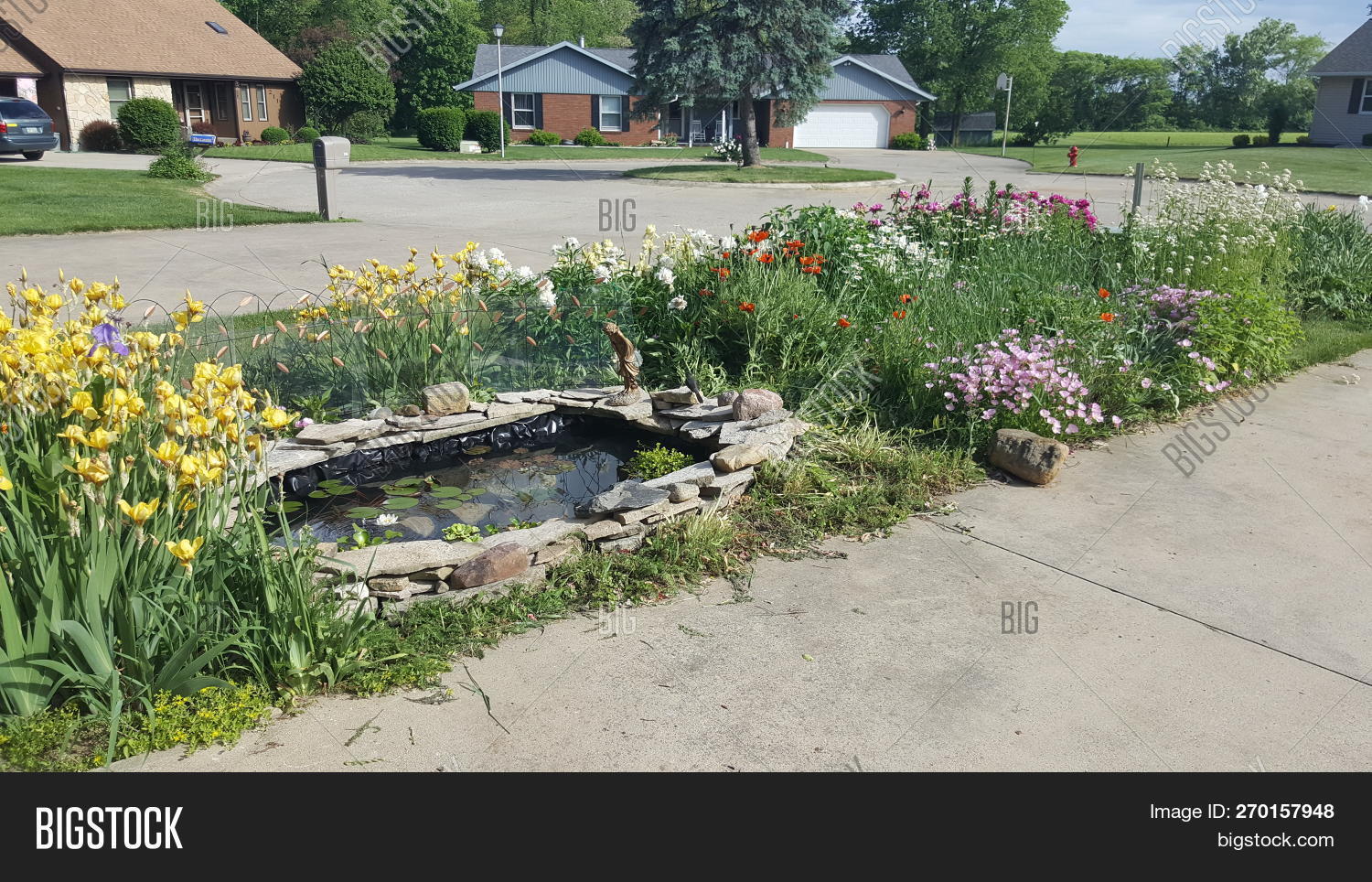 background,beside,cul,de,driveway,front,garden,house,in,lily,neighborhood,pond,sac,small,summer