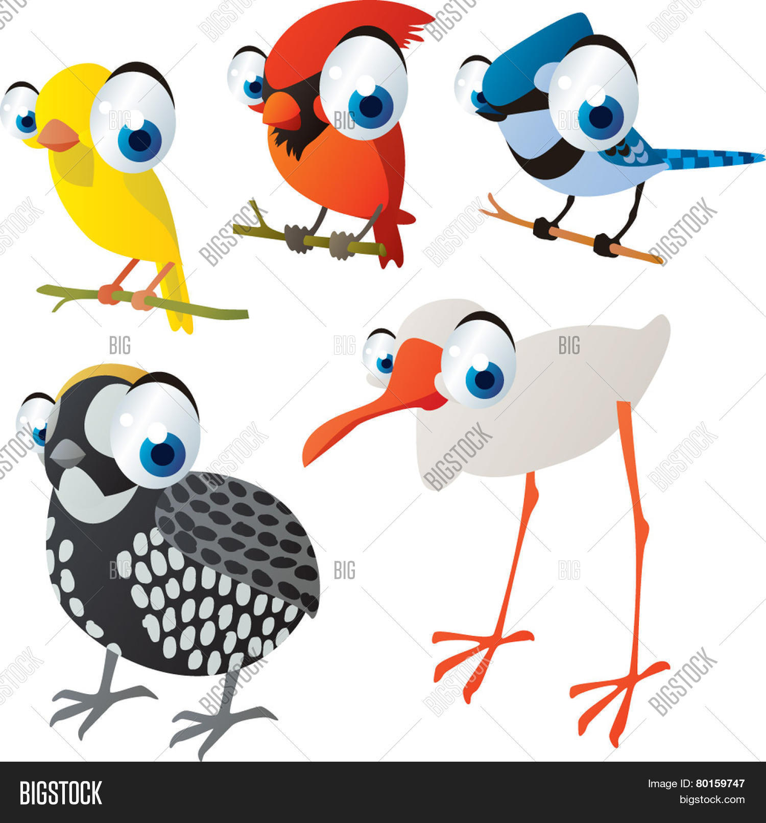 abc,abstract,alphabet,animal,big,bird,book,canary,card,cardinal,cartoon,child,count,crane,cub,cute,design,domestic,drawing,education,element,eye,fowl,funny,game,ibis,icon,illustration,image,isolated,jay,learn,letter,life,logo,mascot,nature,number,preschool,quail,read,school,set,sketch,symbol,teach,vector,wild,write,zoo