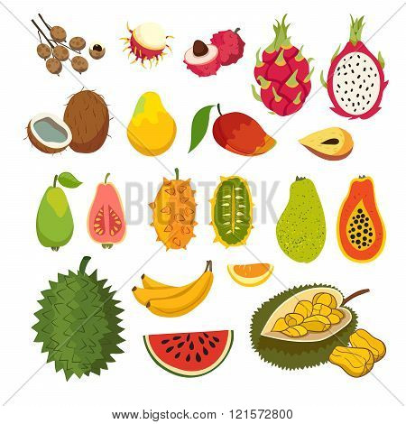 Exotic Tropical Fruits Vector Set Juicy And Ripe Fruit Papaya
