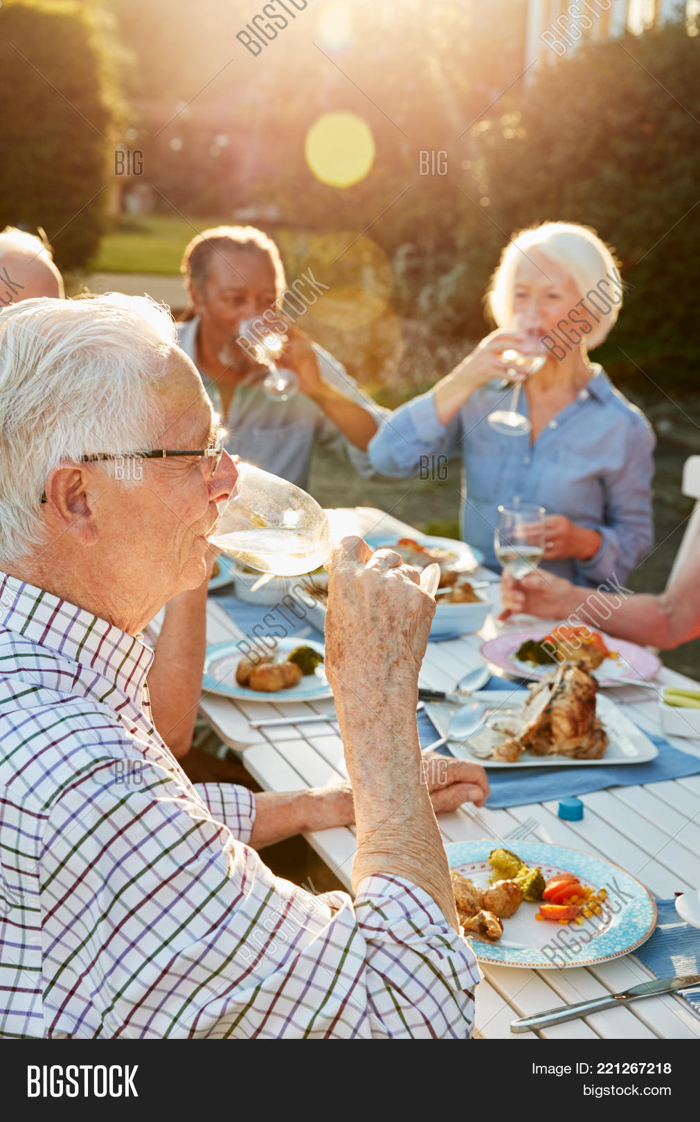60,70s,80s,alcohol,at home,caucasian,chatting,couple,dinner party,drink,drinking,eating,eighties,female,flare,food,friends,garden,group,happy,lens flare,male,man,men,outdoors,party,people,person,relaxing,retired,retirement,senior,seniors,seventies,side view,sitting,six people,sixties,smiling,socialising,socializing,summer,table,talking,together,vertical,waist up,wine,woman,women
