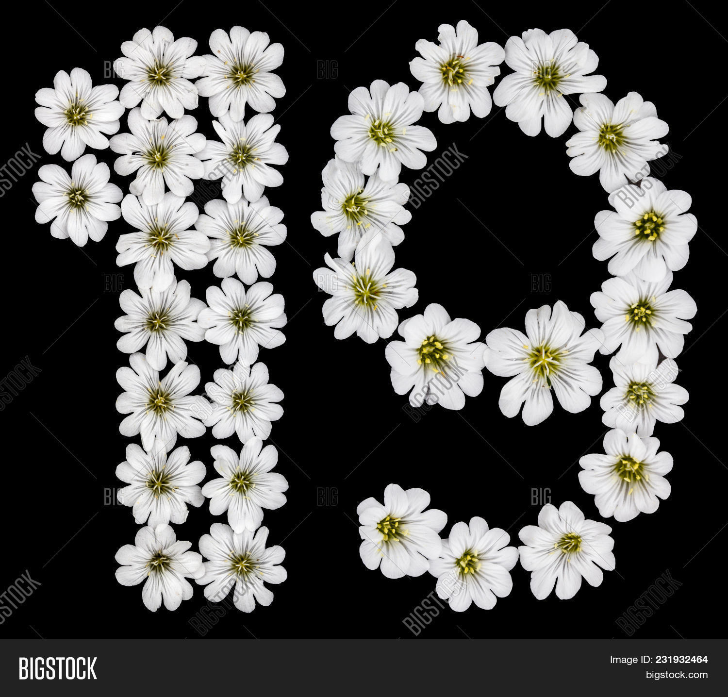 19,abc,abloom,alphabet,anniversary,arabic,background,birthday,black,bloom,bouquet,calculation,cerastium,computation,count,date,education,elementary,floral,flower,garden,greeting,happy,head,invitation,isolate,letter,many,natural,nine,nineteen,nobody,number,numeral,one,ordinal,petal,plant,primary,reckoning,school,sign,symbol,tomentosum,wedding,white,year
