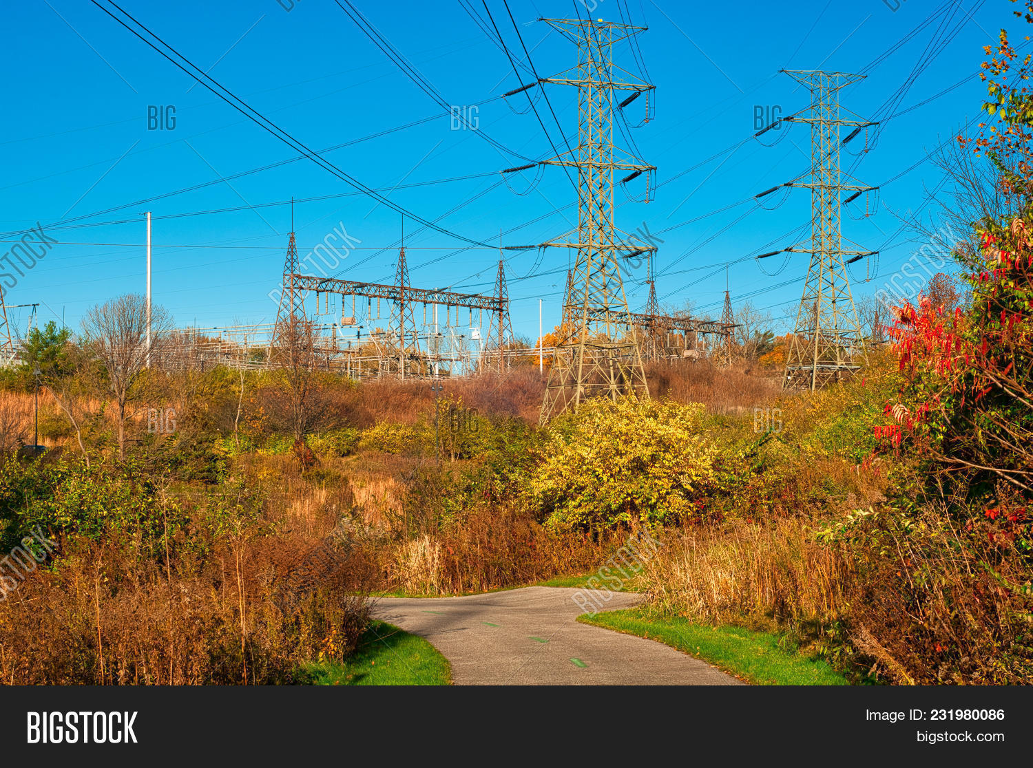 America,Ohio,USA,afternoon,asphalt,autumn,blue,brown,cables,contrast,daytime,electrical,energy,environment,grass,green,grid,high,horizontal,insulators,landscape,leisure,lines,metal,nature,nobody,outdoors,park,pavement,plants,power,red,sky,steel,substation,technology,tension,towers,transmission,trees,vegetation,voltage,walkway,weeds