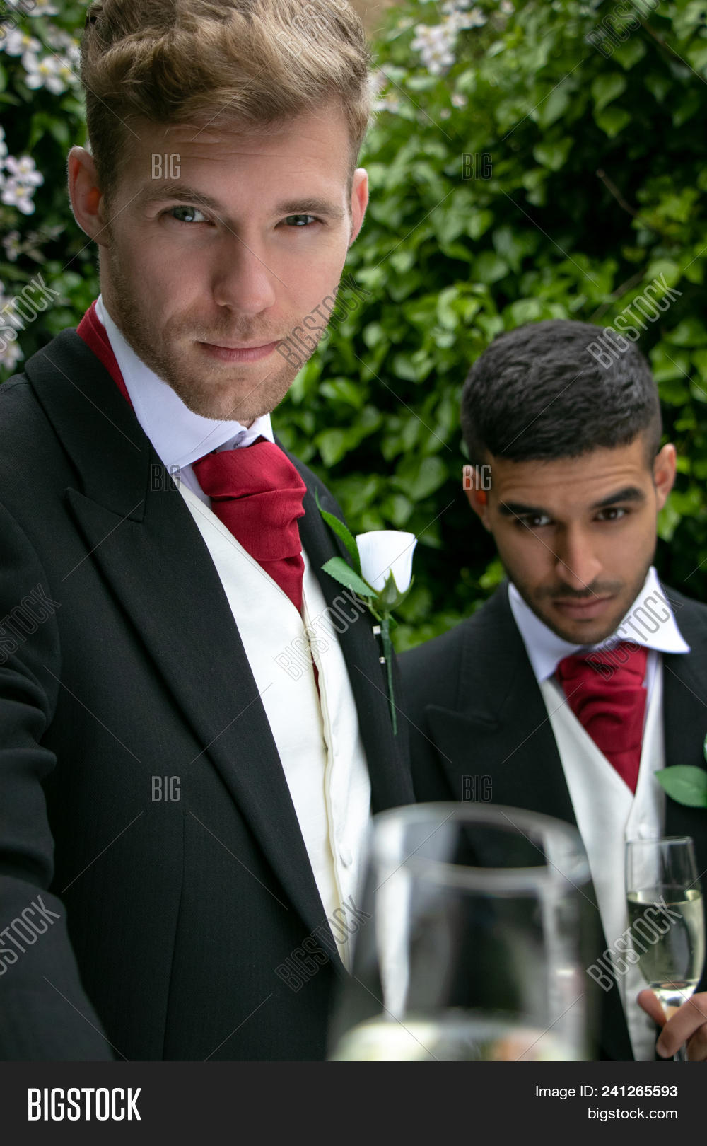 american,black,bridegroom,celebration,ceremony,champagne,church,couple,cravat,engagement,english,gay,grass,green,groom,handsome,happy,homosexuals,husband,ivy,lgbt,love,lovers,male,man,marital,marriage,married,men,minority,nuptials,partnership,person,petals,reception,romance,romantic,same,sex,smiles,smiling,sparkling,suits,together,tree,village,vows,wedded,wedding,wine