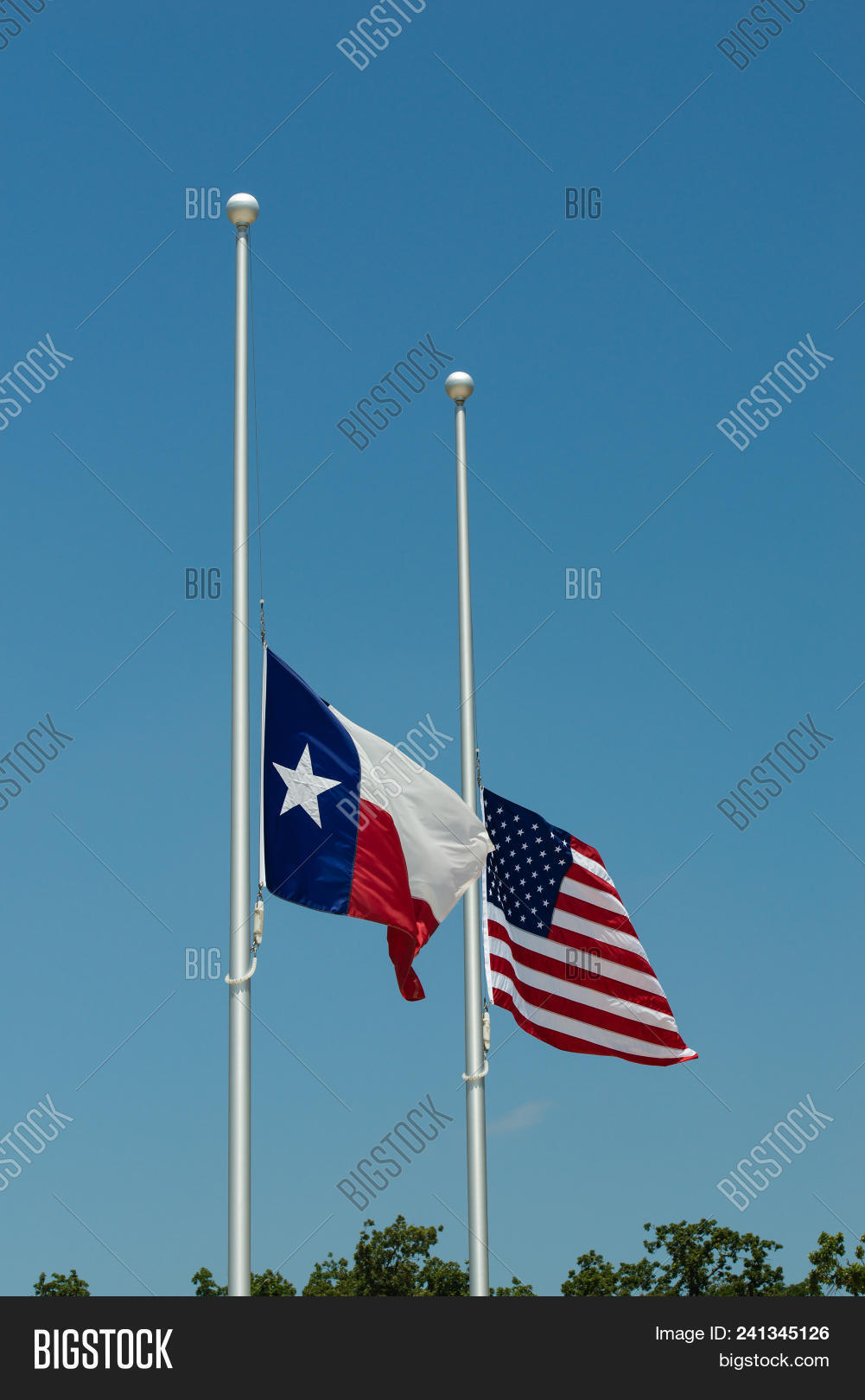 america,american,blowing,blue,by,copy,country,flag,flagpole,flying,freedom,half,halfway,independence,lone,mast,mourning,nation,national,patriotic,patriotism,pole,pride,red,respect,rippled,salute,side,sky,space,staff,star,state,stripes,symbol,symbolic,texas,trees,united,usa,vertical,waving,white,wind