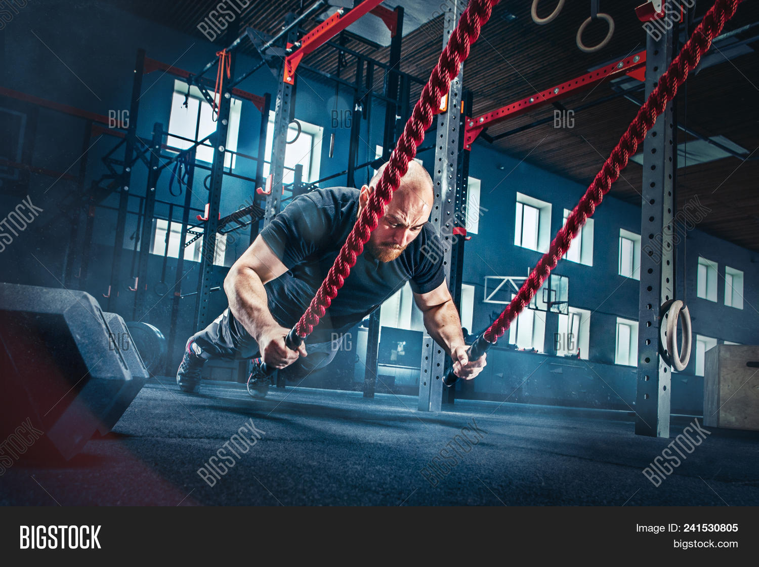 active,activity,adult,alternating,athlete,athletic,battle,beautiful,body,bodybuilder,bodybuilding,caucasian,club,cross,determination,effort,energy,equipment,ethnicity,exercise,fit,fitness,fun,functional,guy,gym,health,healthy,indoor,lifestyle,male,men,muscle,muscular,one,people,person,physical,power,rope,sport,strength,strong,trainer,training,weight,weightlifting,working,workout,young