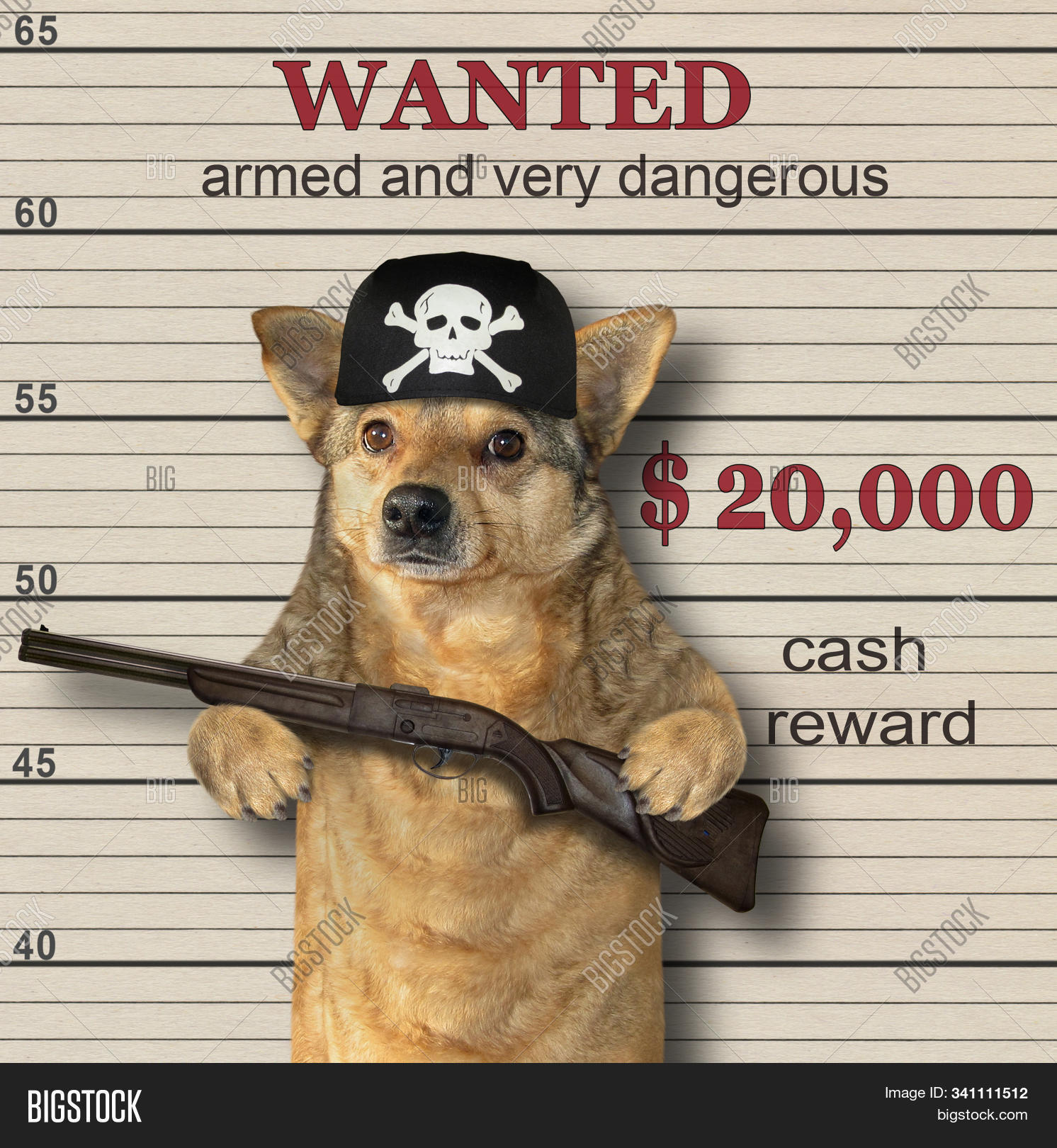 aim,animal,arrest,attack,background,bad,bandana,beige,canine,close,concept,creative,crime,criminal,danger,defend,dog,enemy,felon,fortune,funny,gangster,gun,hat,holding,humor,killer,lineup,money,pet,positive,prison,reward,rifle,standing,take,target,text,toy,up,victory,wanted,war,weapon,winchester