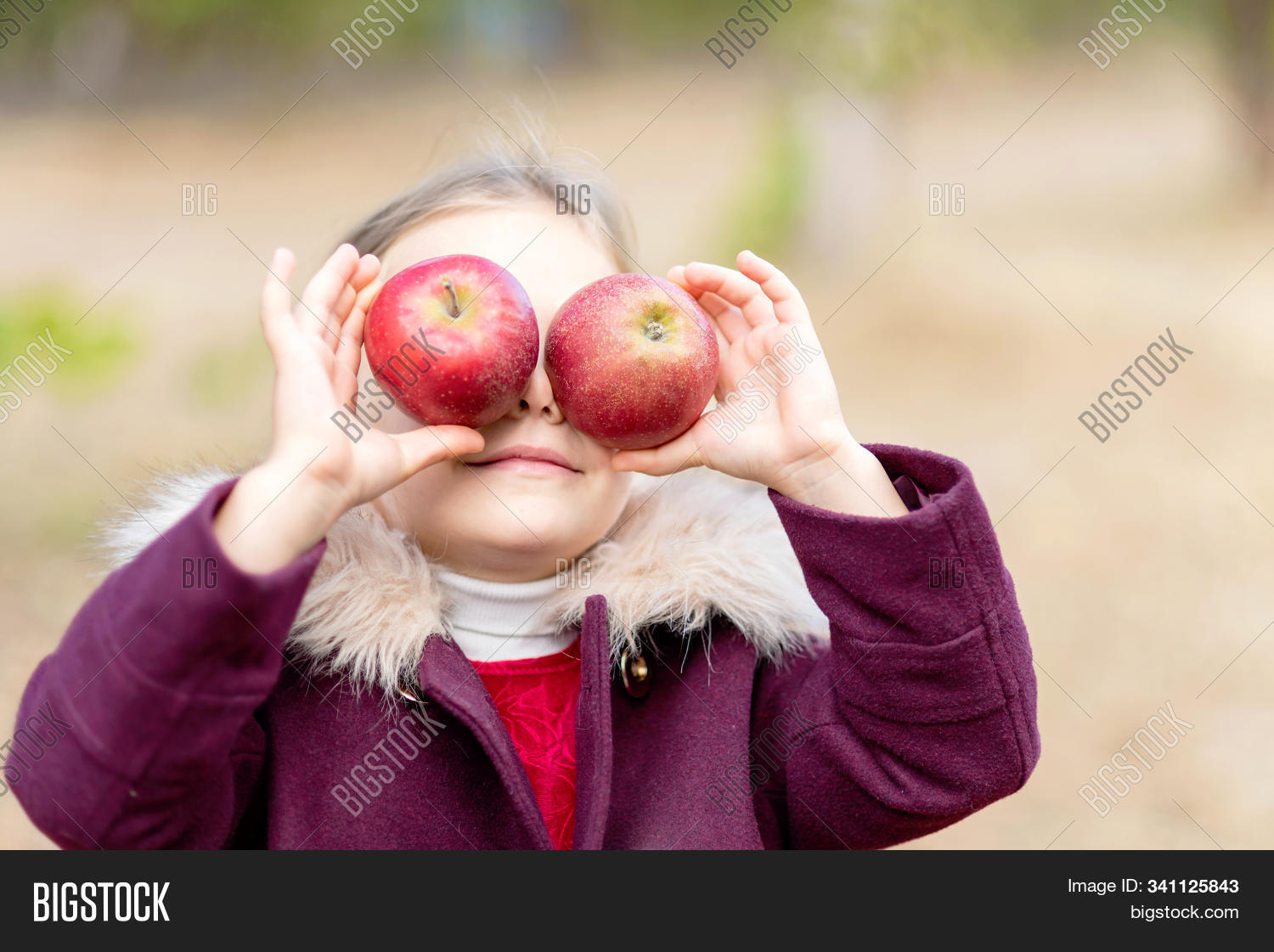 apple,autumn,basket,beautiful,bio,care,child,childhood,country,countryside,cute,diet,eat,farm,fresh,fruit,fun,funny,garden,gardener,gardening,grass,green,happy,harvest,healthy,helping,lifestyle,nutrition,orchard,organic,outdoor,park,pick,picking,pickup,picnic,red,ripe,season,smile,summer,sun,sunny,toddler,tree,ukraine,vitamin,zzzakjaabfhggegogifphdgbgohegbfpgbhahagmgffpdadbdcdf