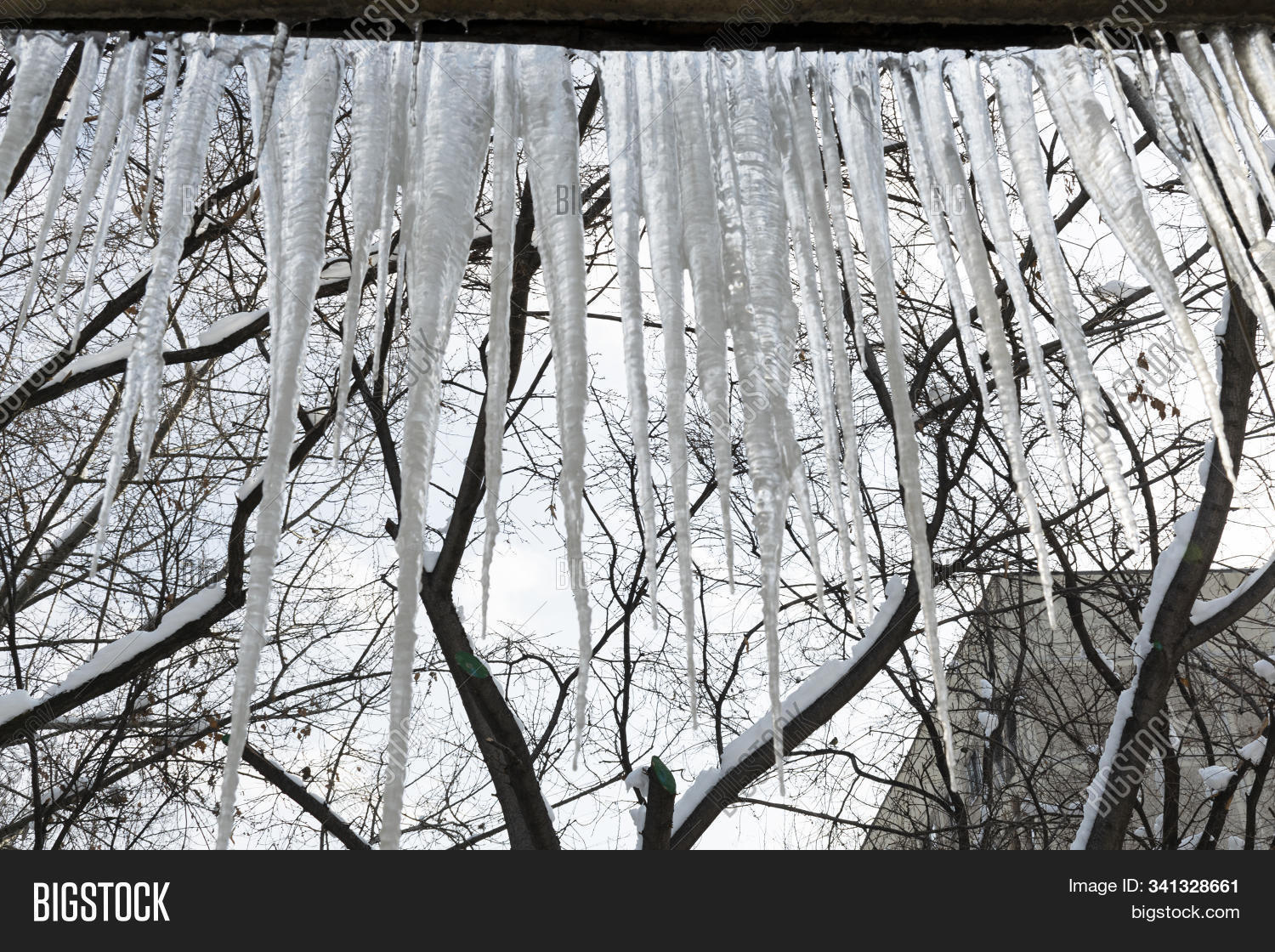 abstract,architecture,background,beautiful,blue,bright,building,christmas,clear,closeup,cold,crystal,danger,dangerous,day,drip,drop,frost,froze,frozen,hang,hanging,home,house,ice,icicle,icy,long,melt,natural,nature,old,outdoor,risk,roof,season,sharp,sky,snow,snowy,spring,thaw,transparent,wall,water,weather,white,winter