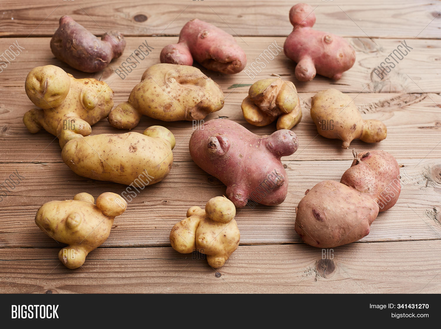 abnormal,agriculture,alone,background,closeup,concept,conjoined,defective,deformed,delicious,different,dirty,edible,food,fresh,funny,gmo,imperfect,ingredient,isolated,malformed,odd,organic,potato,produce,reject,shape,siamese,supermarket,ugly,unique,unusual,vegetable,vegetarian,veggie,waste,weird,white,yellow