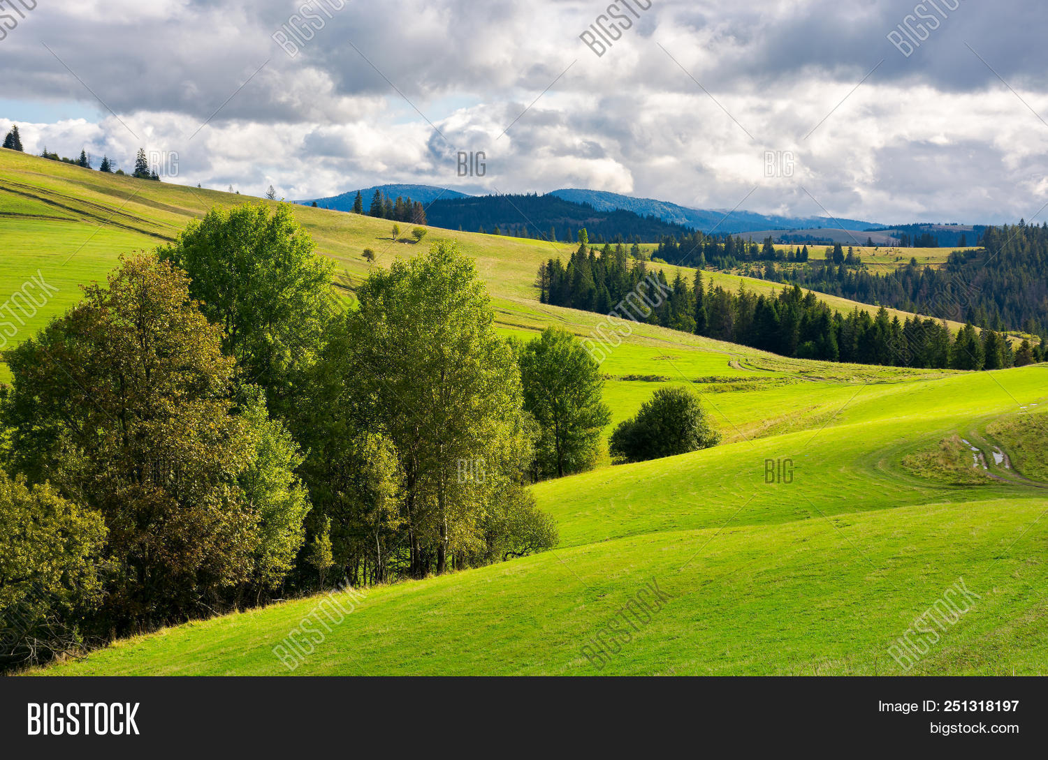 alp,ambiance,atmosphere,autumn,background,beautiful,bulk,carpet,cloudy,countryside,distance,early,field,foliage,glade,grassy,ground,heap,heaven,hill,hillside,hummock,hump,knoll,landscape,lot,meadow,mountain,mountainous,nature,outdoor,overcast,park,place,plant,polonina,range,resources,ridge,rolling,scenery,september,travel,tree,weather,wonderful,wood