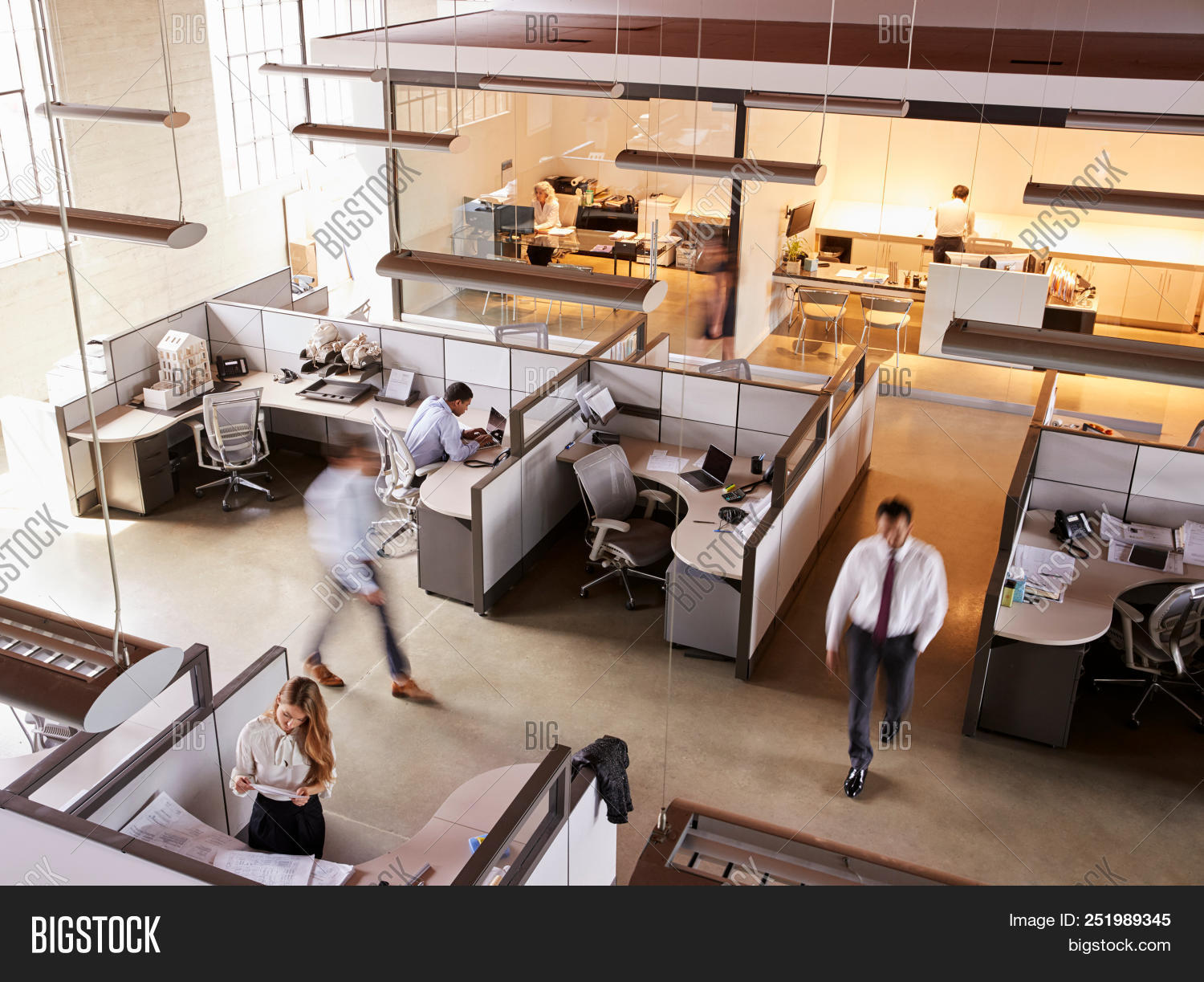 20s,30s,50s,adults,aisle,building interior,business,busy,colleagues,communication,copy space,corporate business,corridor,coworkers,day,desks,elevated view,full length,horizontal,incidental people,indoors,job,lighting,medium group of people,men,millennial,motion blur,movement,multi ethnic group,office,office equipment,office furniture,open plan office,partitions,senior,sitting at desk,smart clothing,sunlight,walking,window,women,work,working,workplace,workstations,young adults