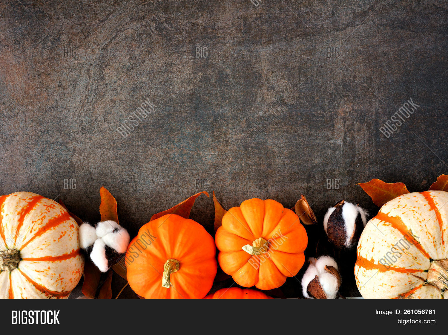 above,agriculture,arrangement,autumn,backdrop,background,border,bottom,brown,copy,cotton,culture,dark,decor,decoration,fall,flat,food,frame,fresh,halloween,harvest,holiday,home,lay,leaves,many,natural,nature,november,objects,october,orange,pumpkins,season,seasonal,space,stem,stone,striped,thanksgiving,top,traditional,view,white