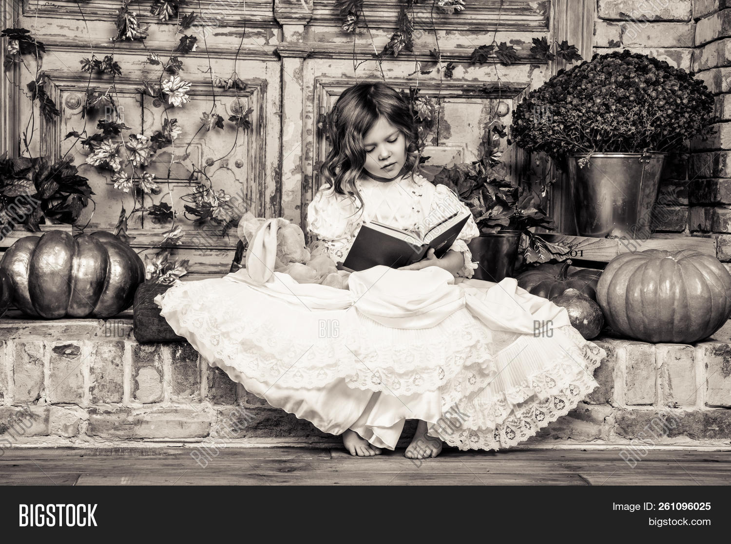 angel,attractive,autumn,baby,beautiful,beauty,book,carnival,child,childhood,children,cinderella,costume,crown,cute,dress,education,fairy,female,fun,funny,game,girl,happy,home,interior,kid,learning,leisure,library,literature,little,lovely,magic,old,people,person,portrait,pretty,princess,pumpkin,read,reading,retro,room,small,story,toy,vintage,young