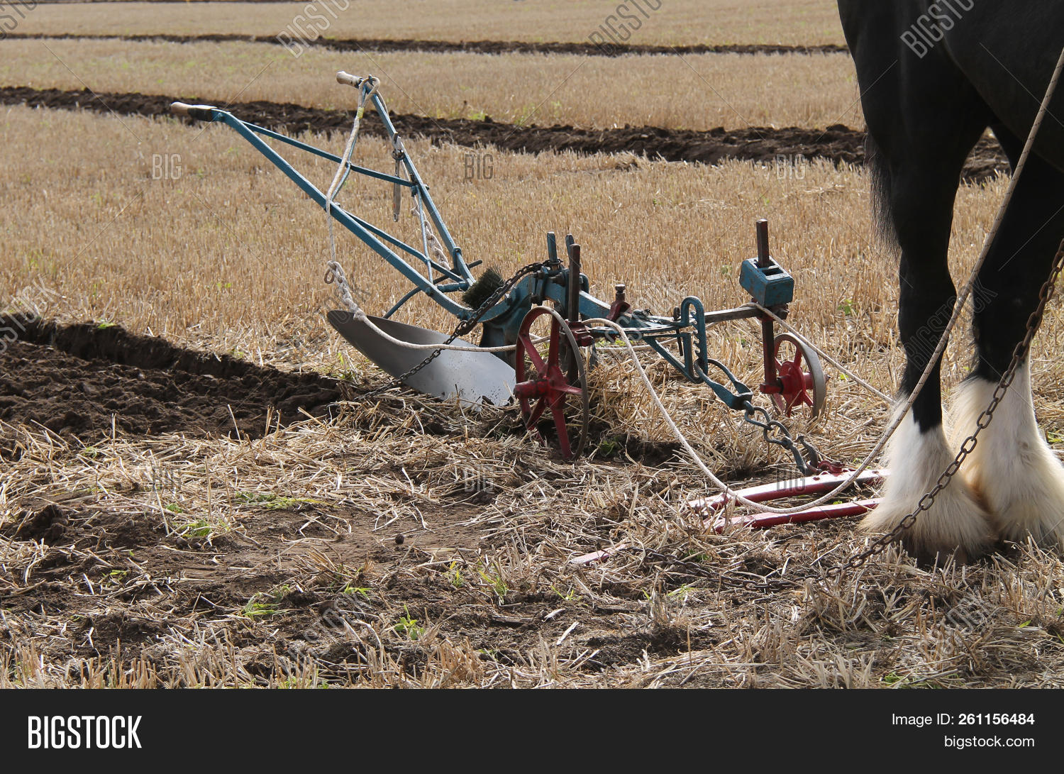 Plough,ancient,antique,country,countryside,crop,cultivate,drawn,earth,farm,farmer,farming,field,furrow,hand,heritage,horse,implement,land,machine,machinery,old,outdoors,rural,soil,steered,toil,tool,tradition,traditional,turn,work