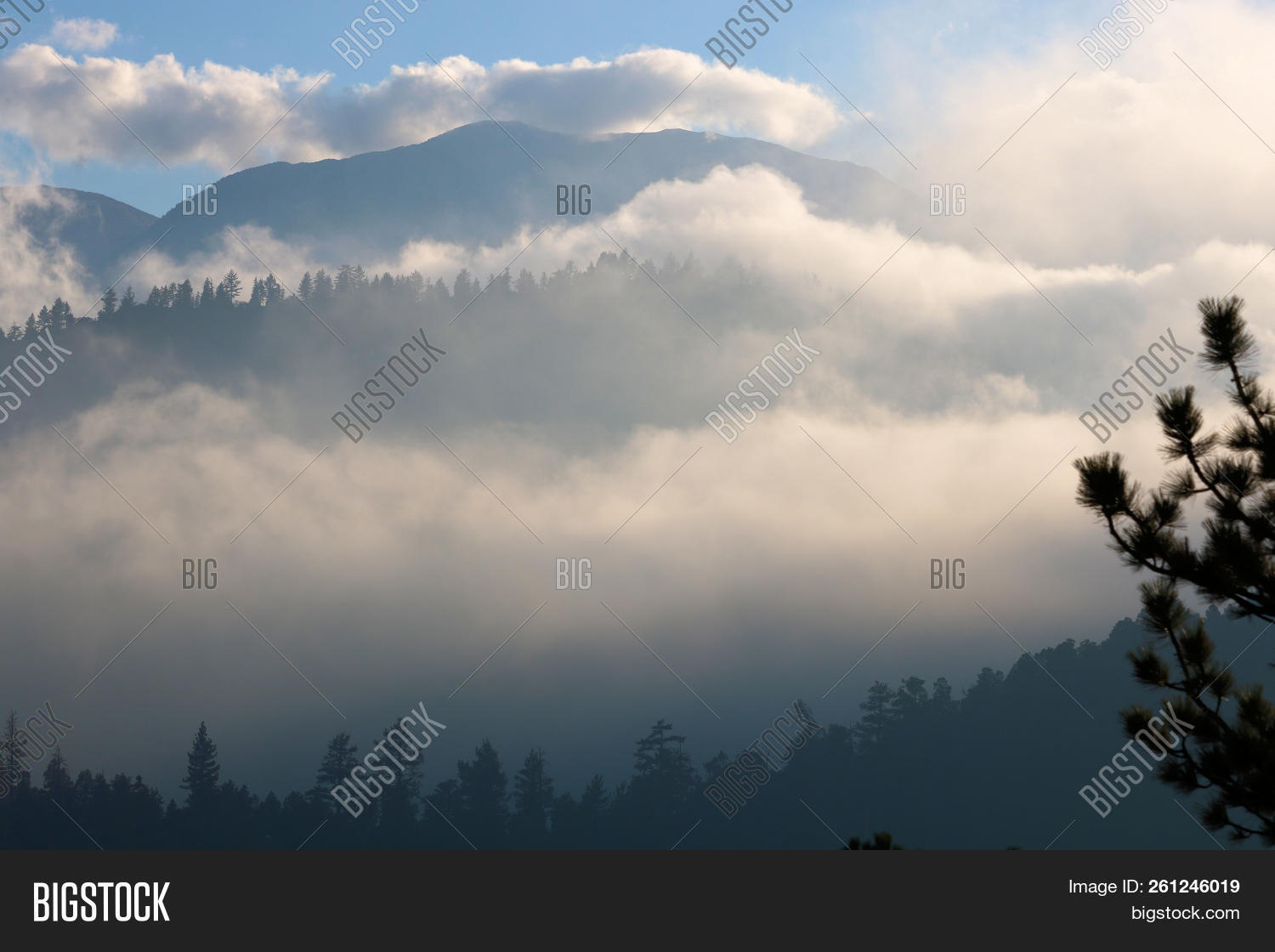 alpine,backpacker,backpacking,bush,camping,climate,cloud,conifer,desolate,destination,evergreen,fog,foggy,forest,getaway,hike,hiking,journey,landscape,mist,moisture,mountain,natural,nature,peak,pine,place,plant,rain,range,ridge,rugged,rural,shrub,sky,storm,stratus,terrain,tourism,tourists,trail,travel,tree,vacation,weather,wild,wilderness,woodland,woods