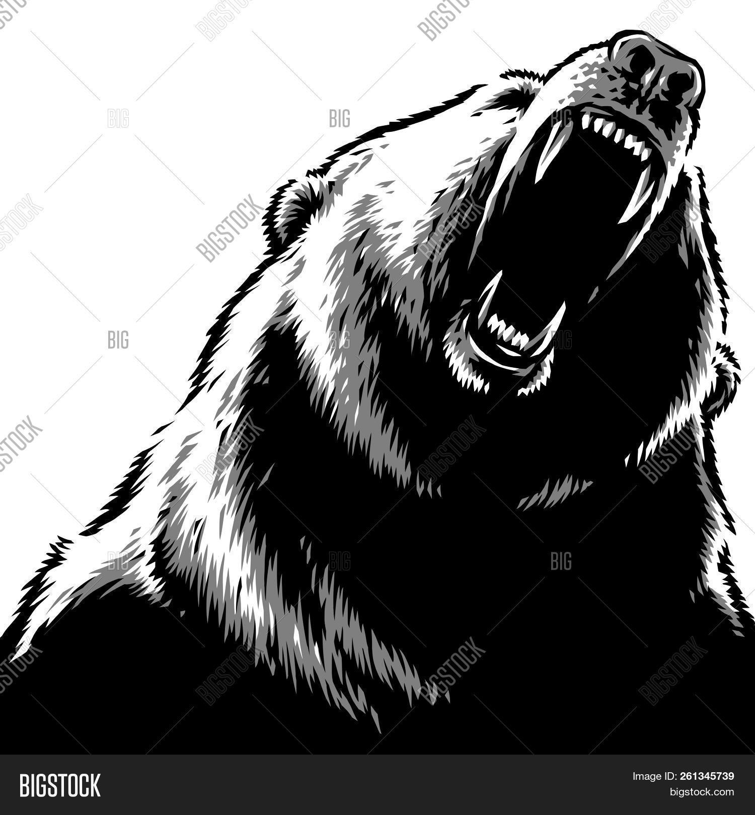 aggression,aggressive,animal,art,bamboo,bear,beast,black,brown,contour,draw,drawing,engrave,fang,fauna,forest,fur,graphic,gray,grizzly,hand,head,illustration,isolated,jungle,line,linear,little,native,nature,outline,painting,panda,park,pet,powerful,predator,realistic,rescue,sharp,smile,strong,tattoo,teeth,tree,white,wild,zoo,zoology