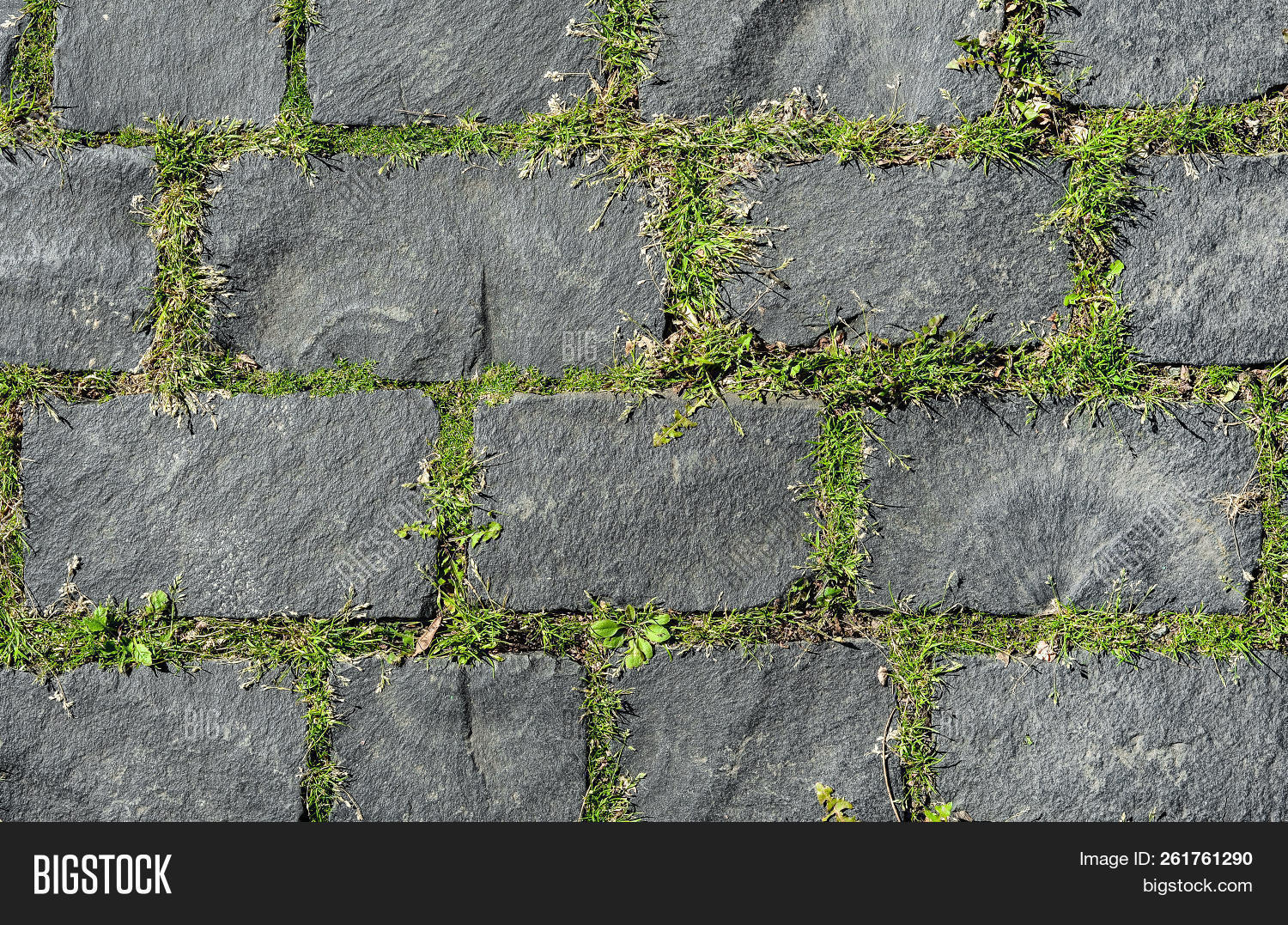 background,block,brick,bright,close,cobblestone,coble,construction,dark,european,floor,granite,grass,green,grey,material,old,path,pattern,pavement,paving,regular,road,rock,square,stone,street,surface,texture,textured,tile,up,urban