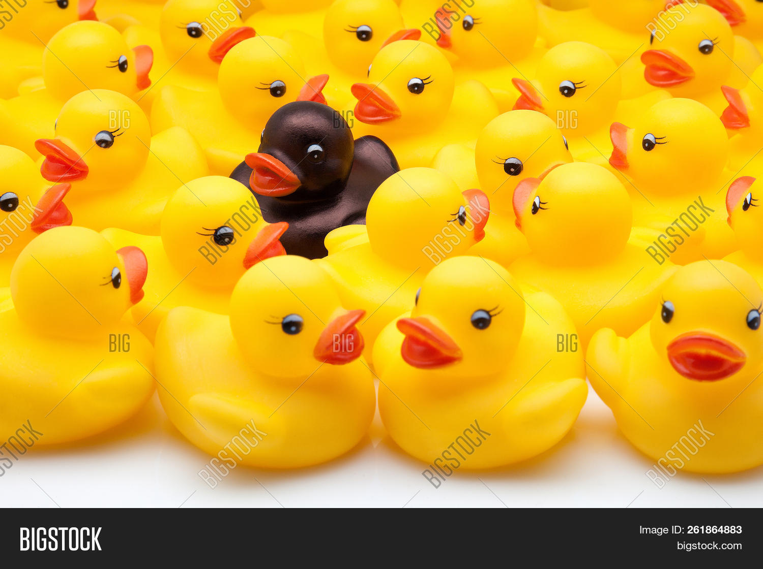 Association,Community,Duckling,Group,Manager,Organization,Toy,Unit,Yellow,atypical,black,color,contrast,counterflow,crowd,different,diversity,duck,exclusion,focused,individuality,integration,intruder,negative,objects,of,opposite,plastic,racism,rubber,special,surrounding,team,work