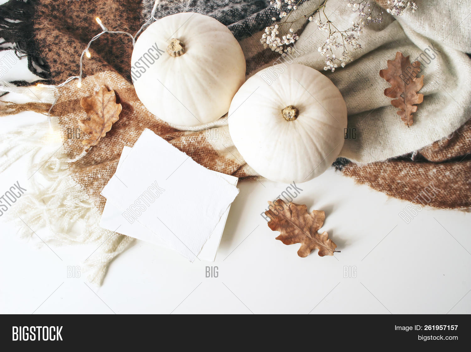 above,arrangement,autumn,background,blanket,blog,blogger,brown,card,christmas,composition,concept,cozy,day,decoration,design,desk,dry,fall,feminine,flat,flatlay,greeting,halloween,holiday,home,lay,leaves,life,lifestyle,lights,mock-up,mockup,modern,oak,plaid,pumpkins,season,seasonal,stationery,still,style,table,thanksgiving,top,traditional,view,white,winter,wool