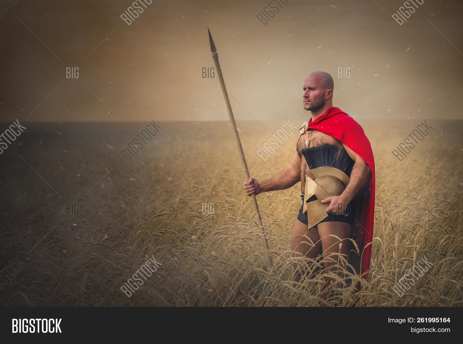 ancient,army,background,battle,centurion,cloak,concept,courage,dust,empire,field,gladiator,grain,greece,greek,hand,helm,helmet,hero,history,holding,knight,lance,legionary,man,medieval,orange,people,person,pride,roman,shield,sky,soldier,sparrow,sparta,spartan,spear,strength,sword,trojan,valor,victory,war,warrior,weapon,wheat,win