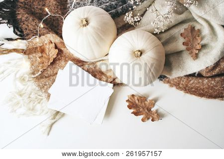 Autumn Cozy Composition. Blank Card Mockup Scene. White Pumpkins, Dry Oak Leaves, Christmas Lights A