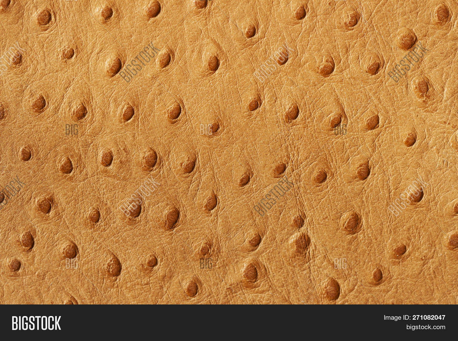 abstract,animal,artificial,backdrop,background,brown,bumpy,close-up,closeup,clothing,concept,covering,cow,cowhide,decor,decoration,design,detail,embossed,exotic,fashion,genuine,grunge,hide,leather,macro,manufacturing,material,matte,natural,ostrich,pattern,quality,retro,rough,shopping,simple,skin,stamped,structure,stylish,surface,texture,textured,trendy,upholstery,vintage,wallpaper,wild,wrinkle