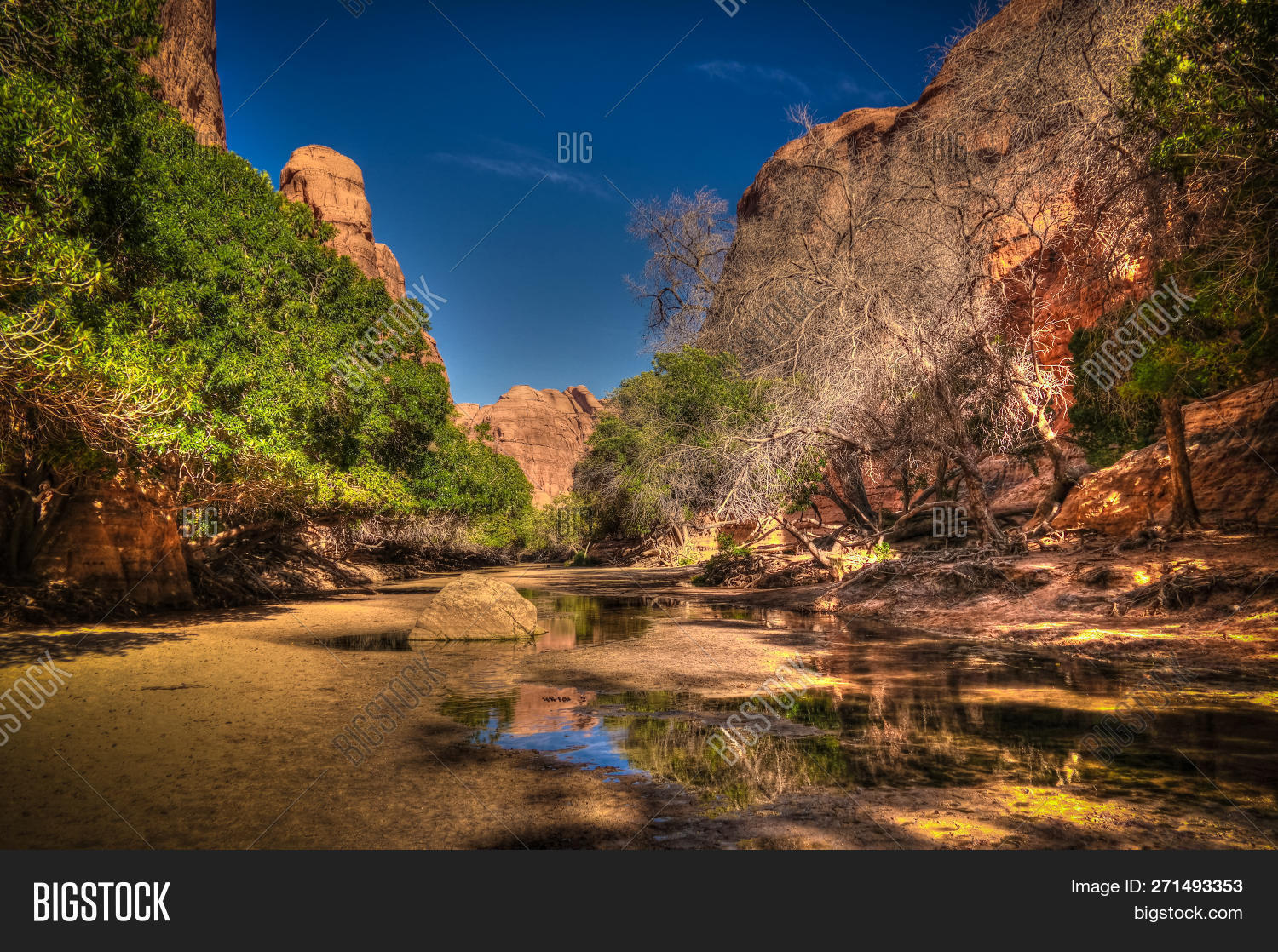 Chad,Guelta,Panorama,Plateau,Sahara,adventure,africa,arid,bashikele,beautiful,beauty,bright,canyon,colorful,desert,ennedi,erg,fada,formation,geology,gorge,heat,heritage,landscape,mountain,natural,nature,orange,outdoor,pan,plant,pond,ravine,reg,rock,sandstone,scenery,sculpture,shadow,sky,stone,sunny,swamp,tchad,travel,unesco,valley,water,yellow