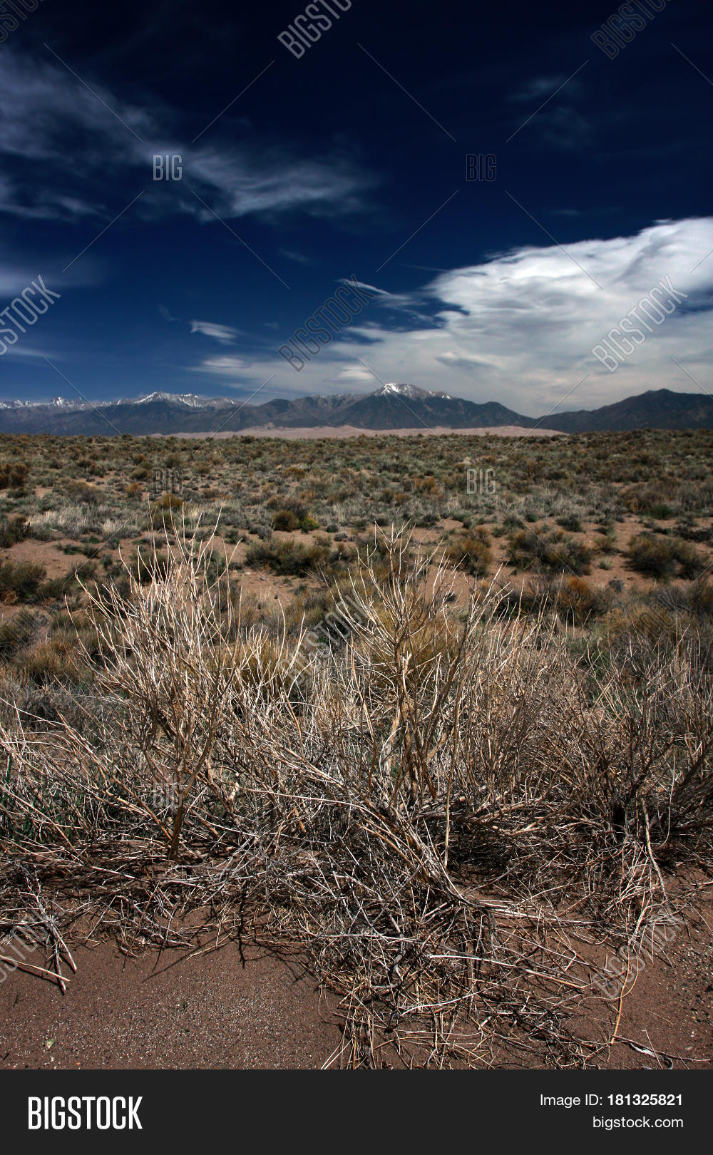 Alamosa,Colorado,Luis,San,arid,brush,desolate,dry,expanse,horizon,mountains,plains,prairie,sage,vacant,valley,west,western