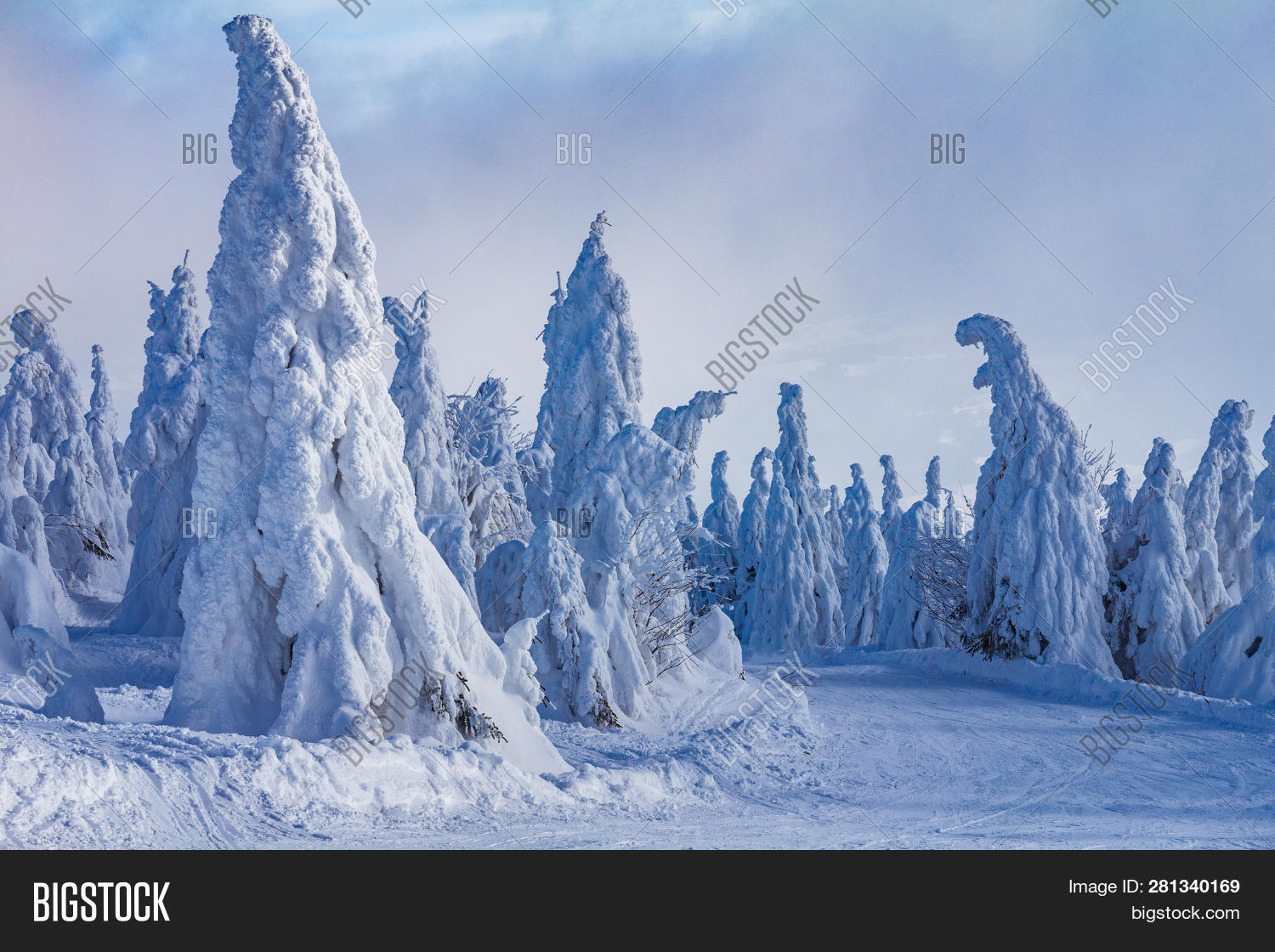 background, 																					beautiful, 																					beauty, 																					blue, 																					christmas, 																					cloud, 																					cold, 																					country, 																					cover, 																					december, 																					europe, 																					fairytale, 																					february, 																					frost, 																					frozen, 																					hiking, 																					hill, 																					hoar, 																					hoarfrost, 																					hola, 																					holiday, 																					ice, 																					january, 																					kubinska, 																					landscape, 																					mountain, 																					natural, 																					nature, 																					orava, 																					outdoor, 																					panorama, 																					rime, 																					scene, 																					season, 																					ski, 																					sky, 																					slovak, 																					slovakia, 																					snow, 																					snowboard, 																					snowfall, 																					snowy, 																					travel, 																					tree, 																					vacation, 																					weather, 																					white, 																					winter, 																					wonderful, 																					wonderland