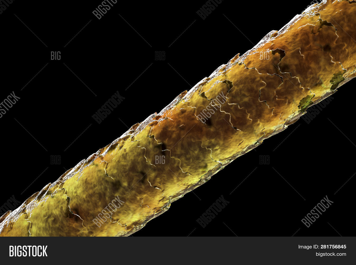3d,analysis,anatomy,background,biology,black,brown,care,closeup,dark,element,fiber,fibre,growth,hair,healthy,histology,human,illustration,isolated,macro,magnification,magnified,medical,medicine,microscope,microscopic,render,research-based,science,scientific,shampoo,strand,strengthening,structure,textured,treatment,view