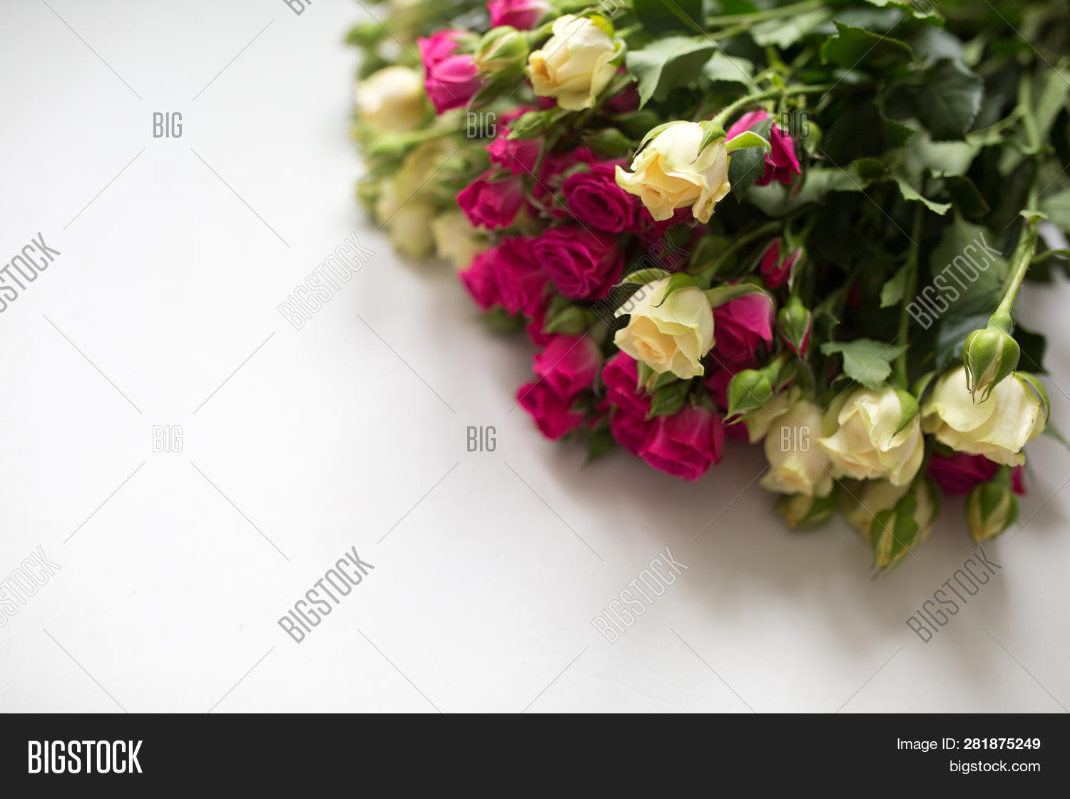 8,Shrub,arrangement,beautiful,bouquet,bush,celebration,composition,copy,decoration,decorative,flora,floristry,flowers,gift,green,holiday,leaf,light,love,march,photo,pink,postcard,present,romantic,rose,space,spray,top,valentine,view,wedding,white
